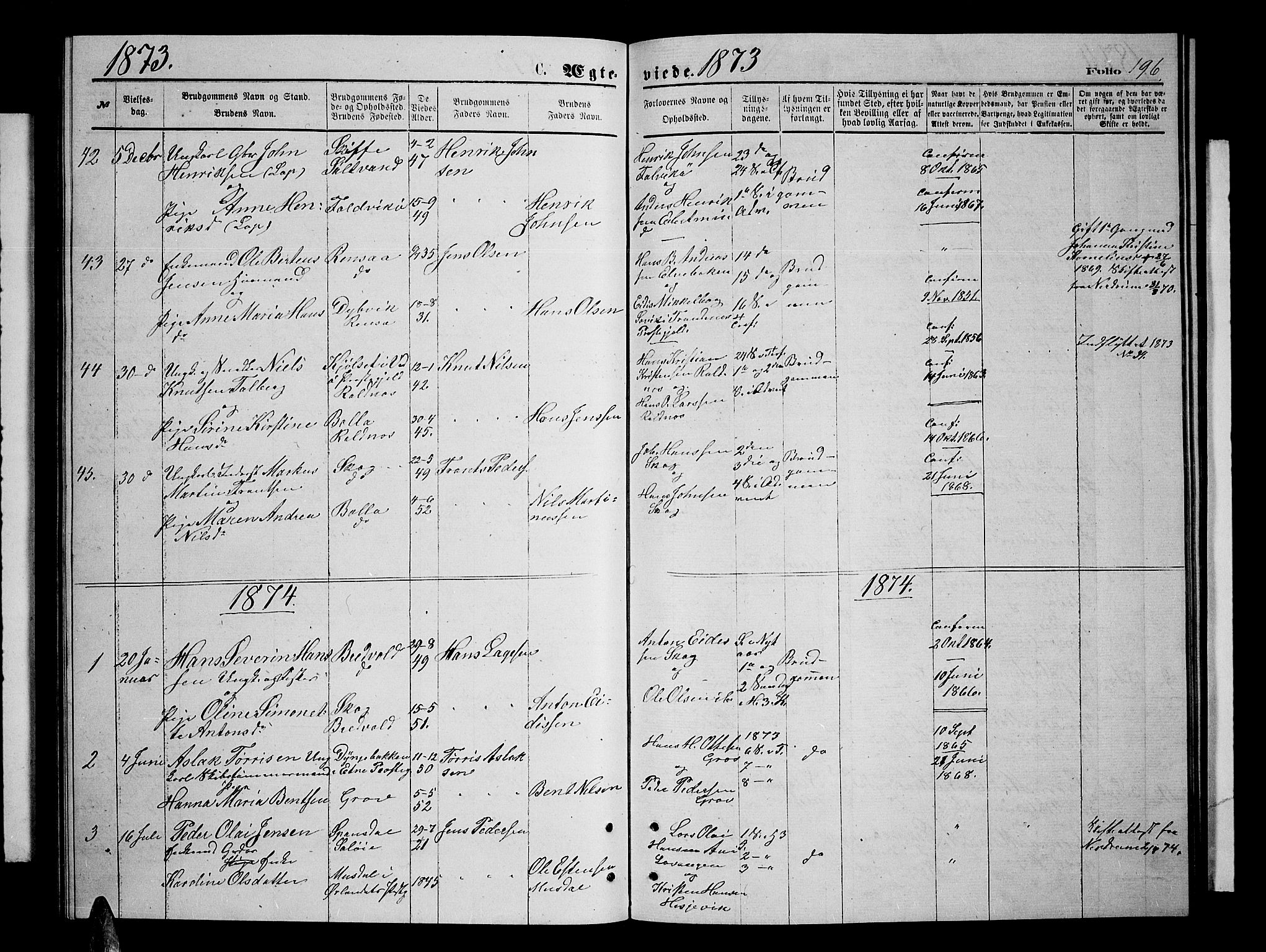 Ibestad sokneprestembete, SATØ/S-0077/H/Ha/Hab/L0006klokker: Parish register (copy) no. 6, 1871-1879, p. 196