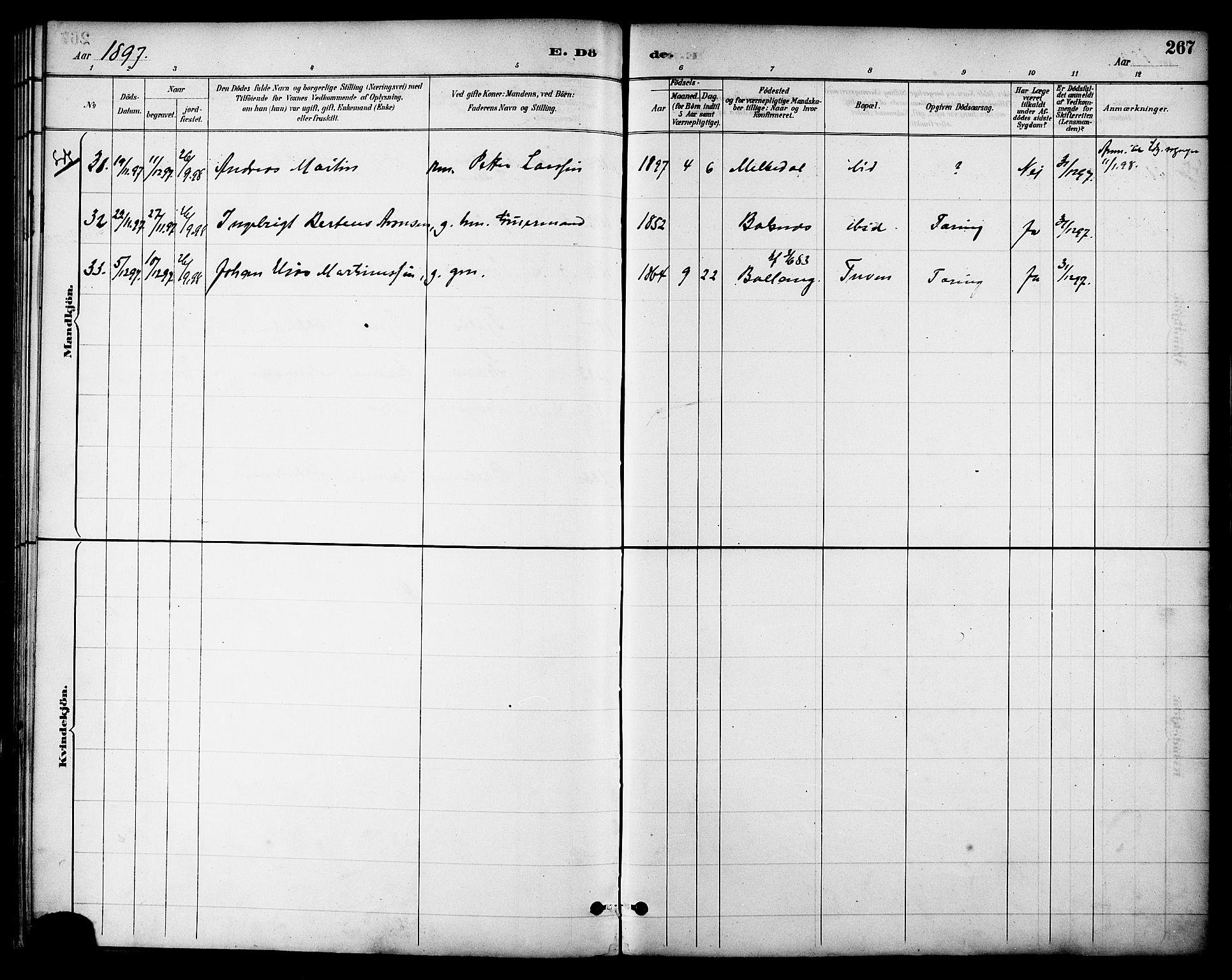 Ministerialprotokoller, klokkerbøker og fødselsregistre - Nordland, AV/SAT-A-1459/863/L0898: Parish register (official) no. 863A10, 1886-1897, p. 267
