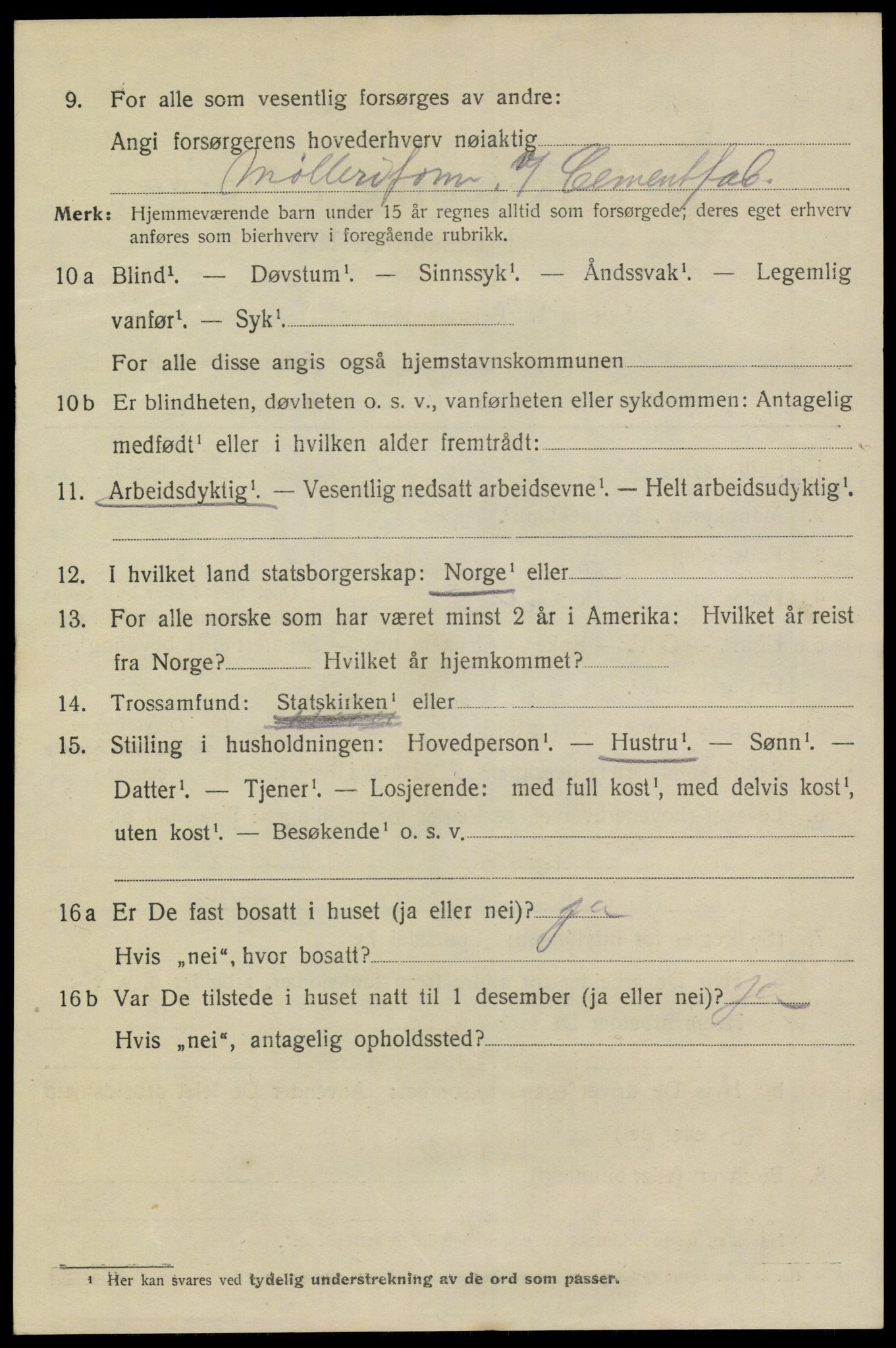 SAKO, 1920 census for Brevik, 1920, p. 3881