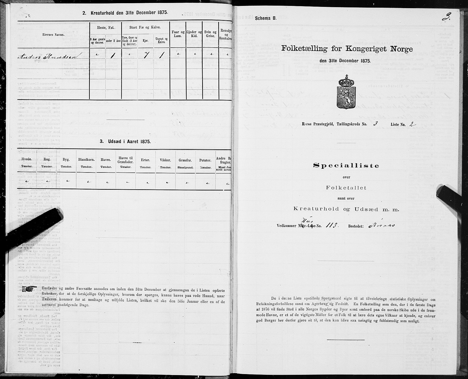 SAT, 1875 census for 1640P Røros, 1875, p. 2003