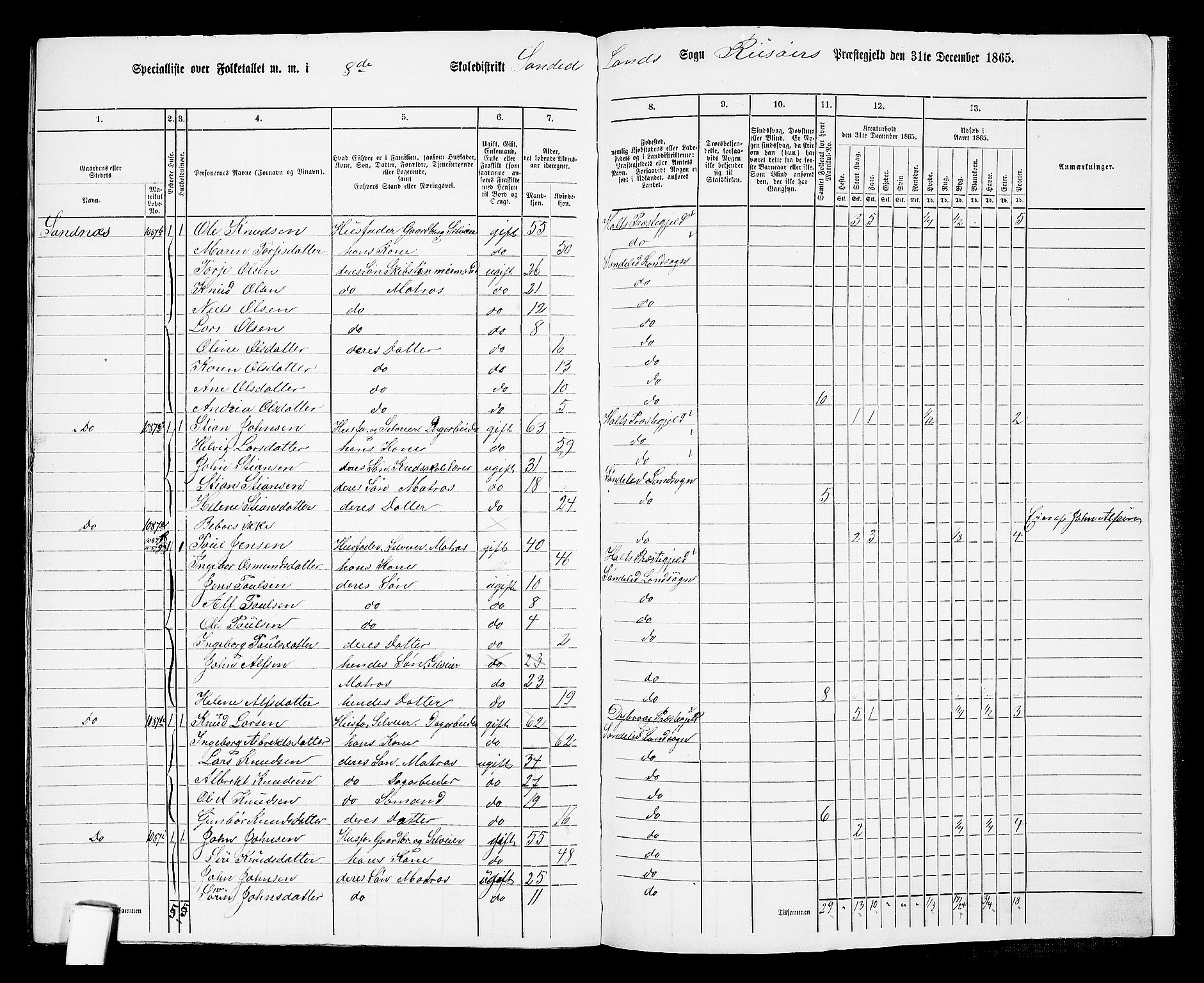 RA, 1865 census for Risør/Søndeled, 1865, p. 153