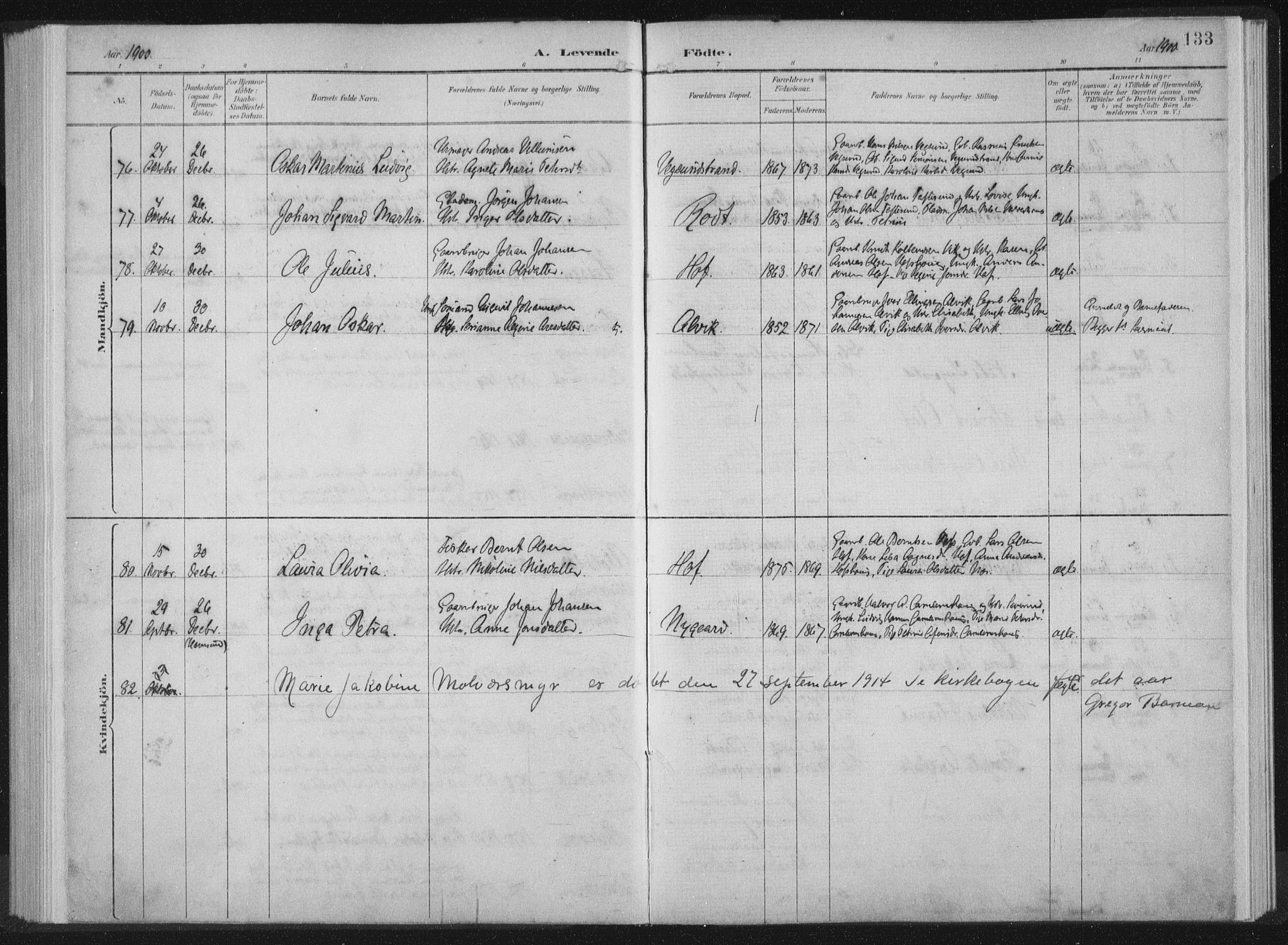 Ministerialprotokoller, klokkerbøker og fødselsregistre - Møre og Romsdal, AV/SAT-A-1454/528/L0405: Parish register (official) no. 528A14, 1891-1906, p. 133