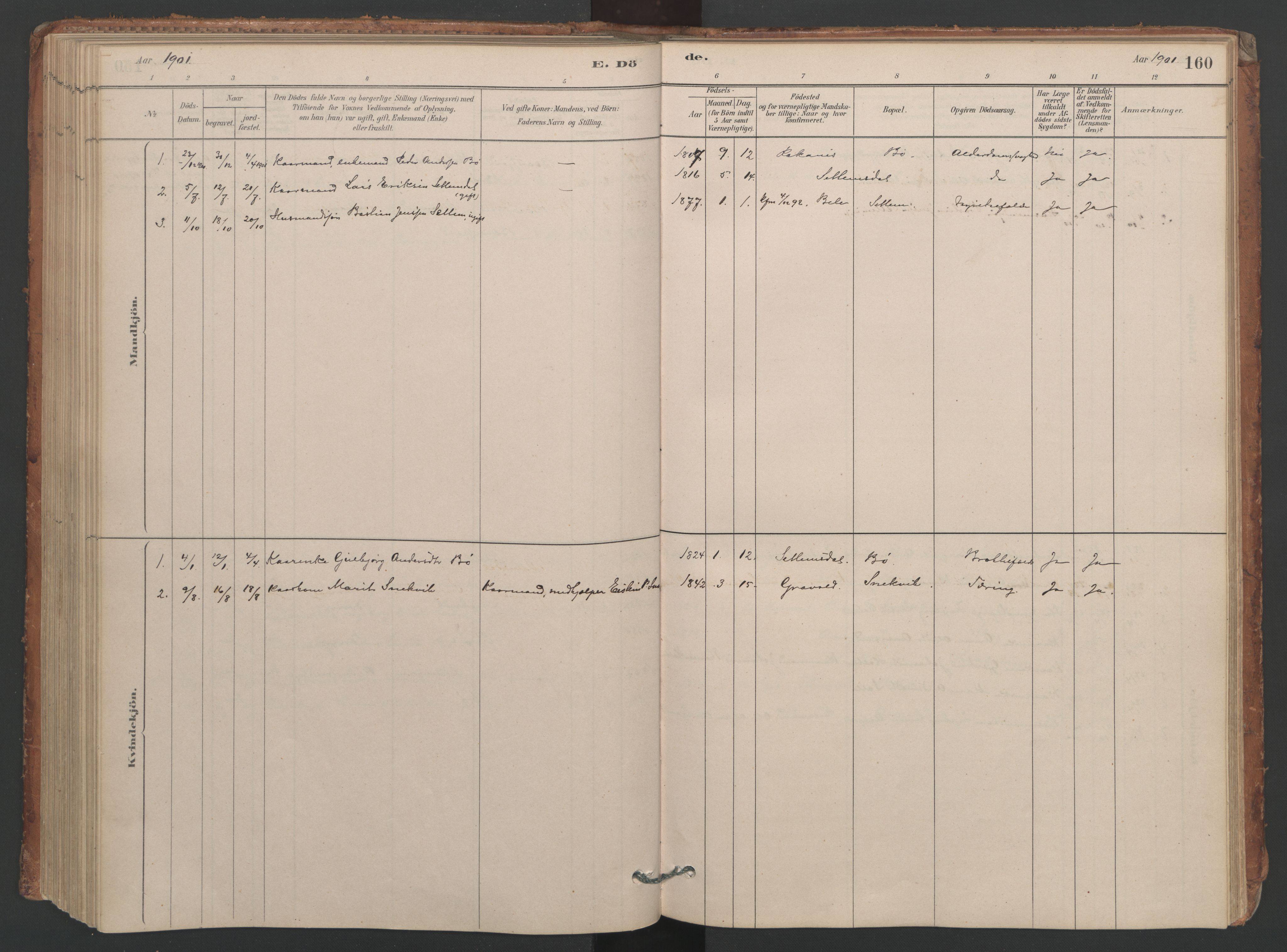 Ministerialprotokoller, klokkerbøker og fødselsregistre - Møre og Romsdal, AV/SAT-A-1454/594/L1036: Parish register (official) no. 594A02 (?), 1879-1910, p. 160