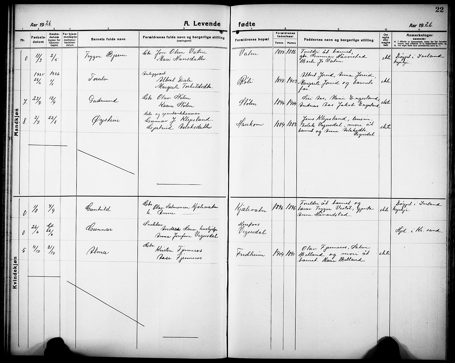 Herefoss sokneprestkontor, AV/SAK-1111-0019/F/Fb/Fbb/L0004: Parish register (copy) no. B 4, 1917-1933, p. 22