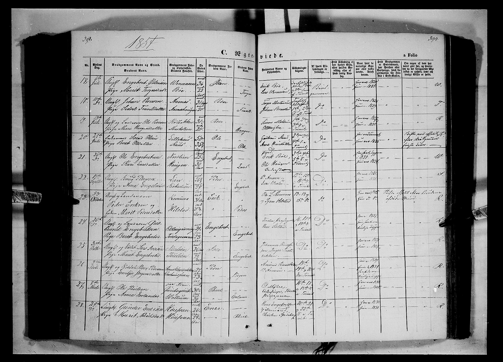 Ringebu prestekontor, SAH/PREST-082/H/Ha/Haa/L0006: Parish register (official) no. 6, 1848-1859, p. 393-394