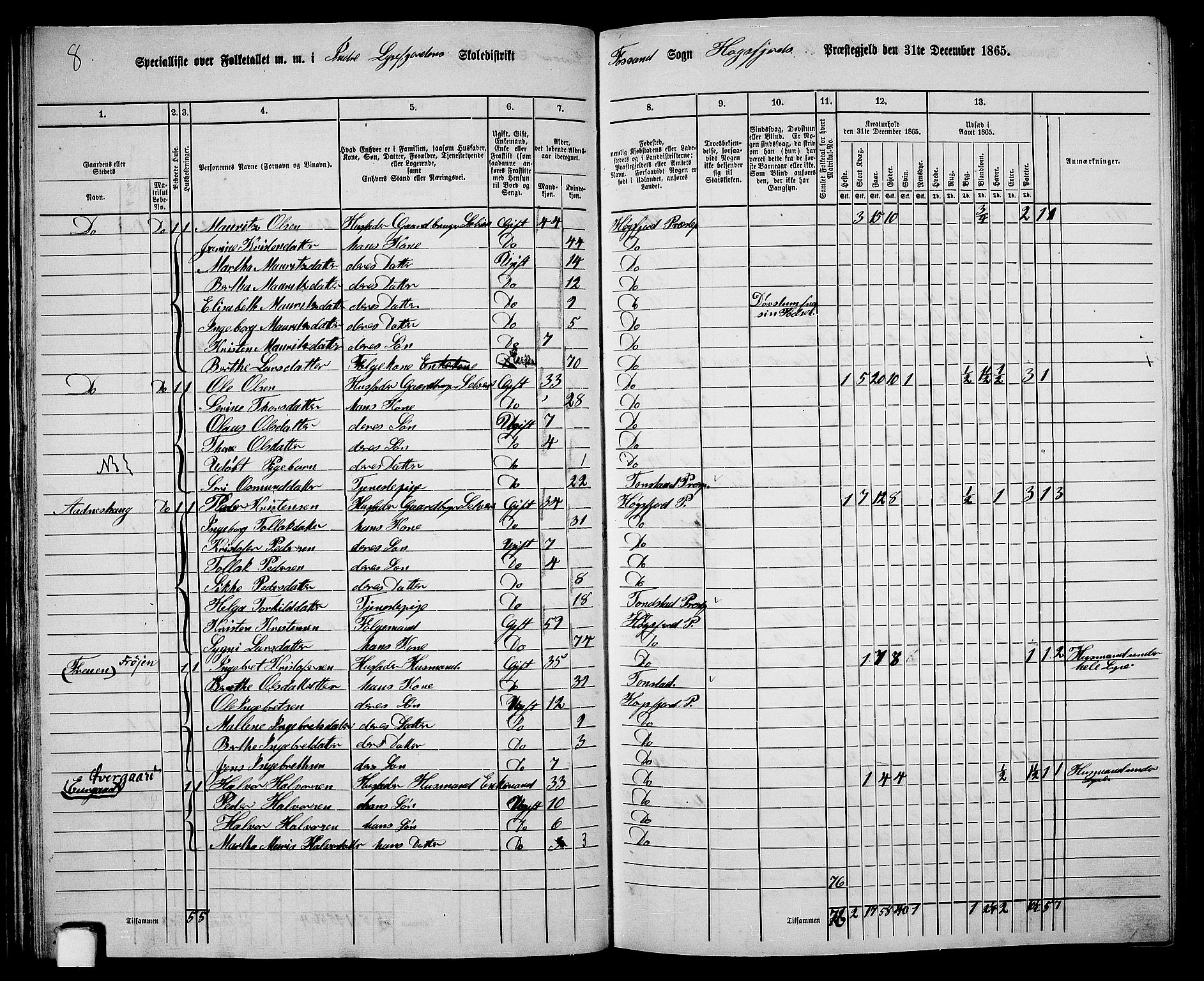 RA, 1865 census for Høgsfjord, 1865, p. 33