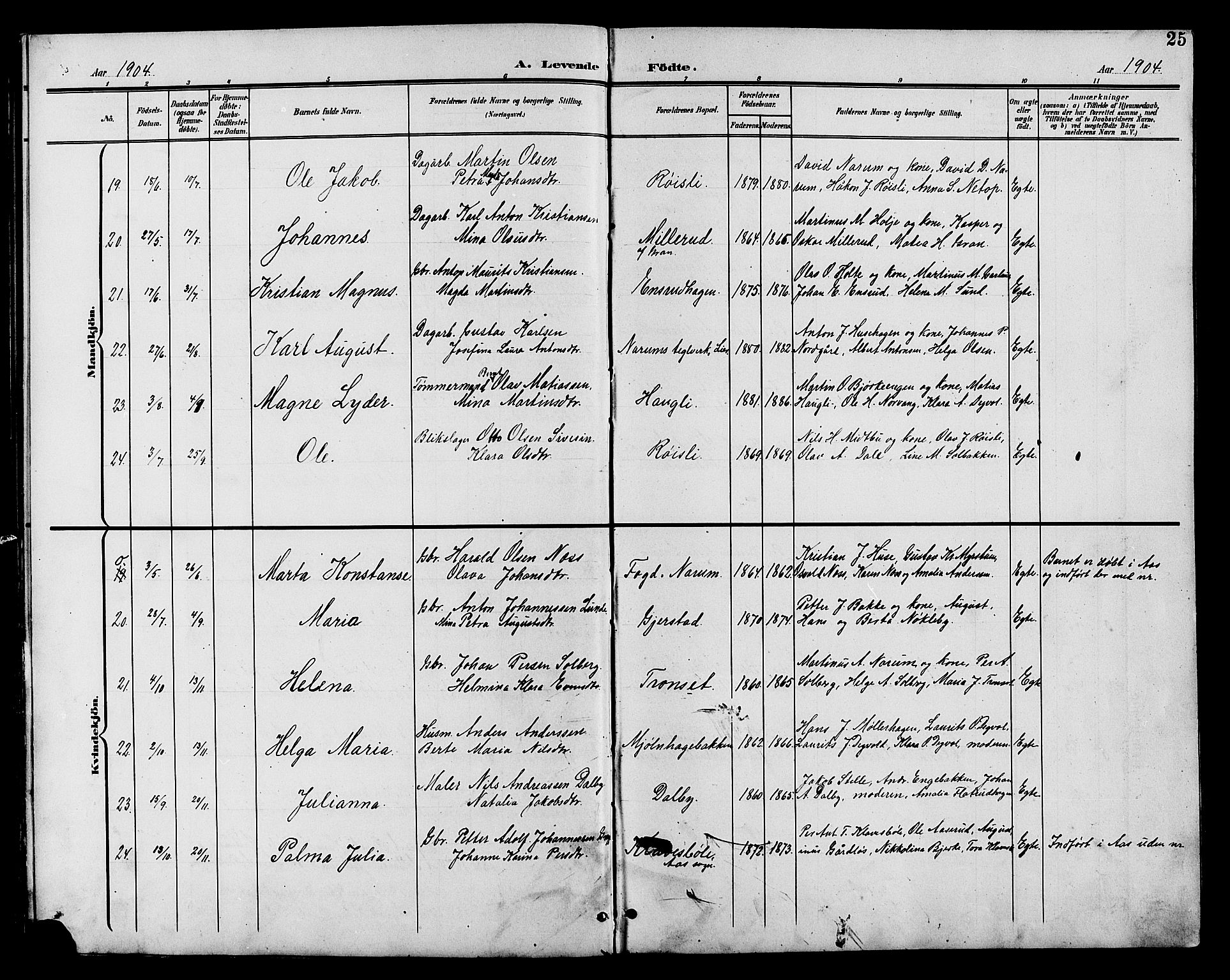 Vestre Toten prestekontor, AV/SAH-PREST-108/H/Ha/Hab/L0011: Parish register (copy) no. 11, 1901-1911, p. 25