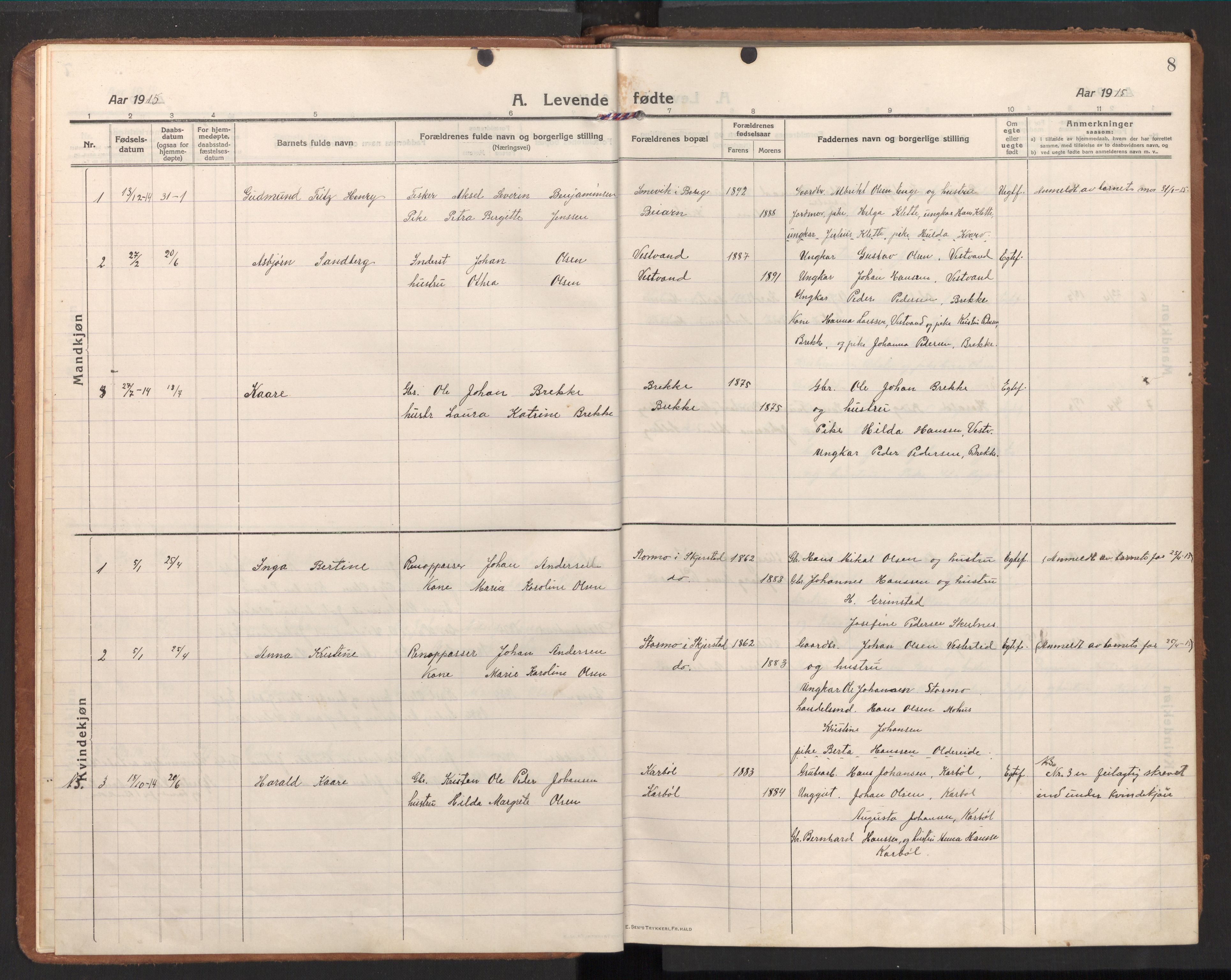 Ministerialprotokoller, klokkerbøker og fødselsregistre - Nordland, AV/SAT-A-1459/848/L0688: Parish register (official) no. 848A01, 1913-1935, p. 8