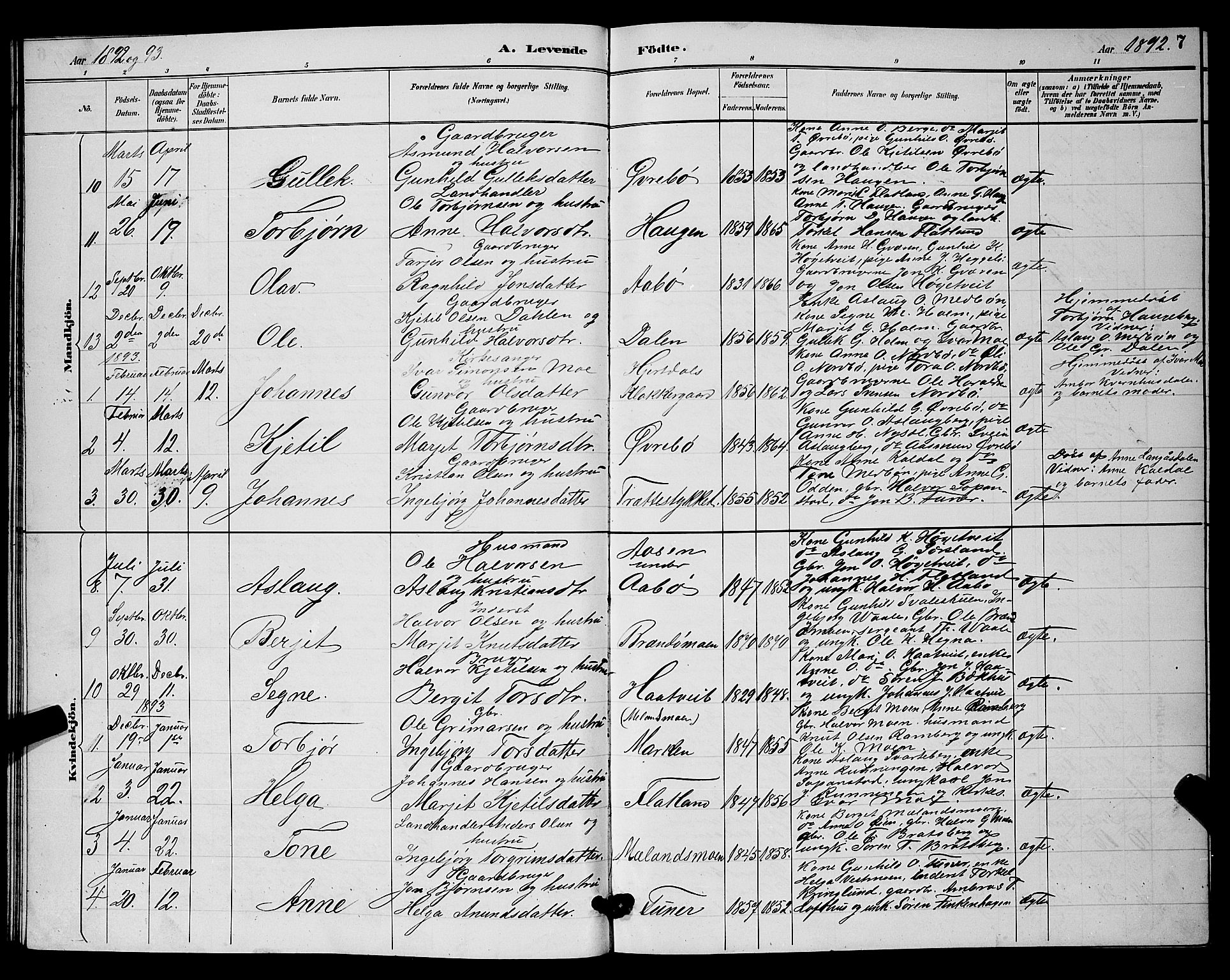 Hjartdal kirkebøker, SAKO/A-270/G/Ga/L0003: Parish register (copy) no. I 3, 1889-1896, p. 7