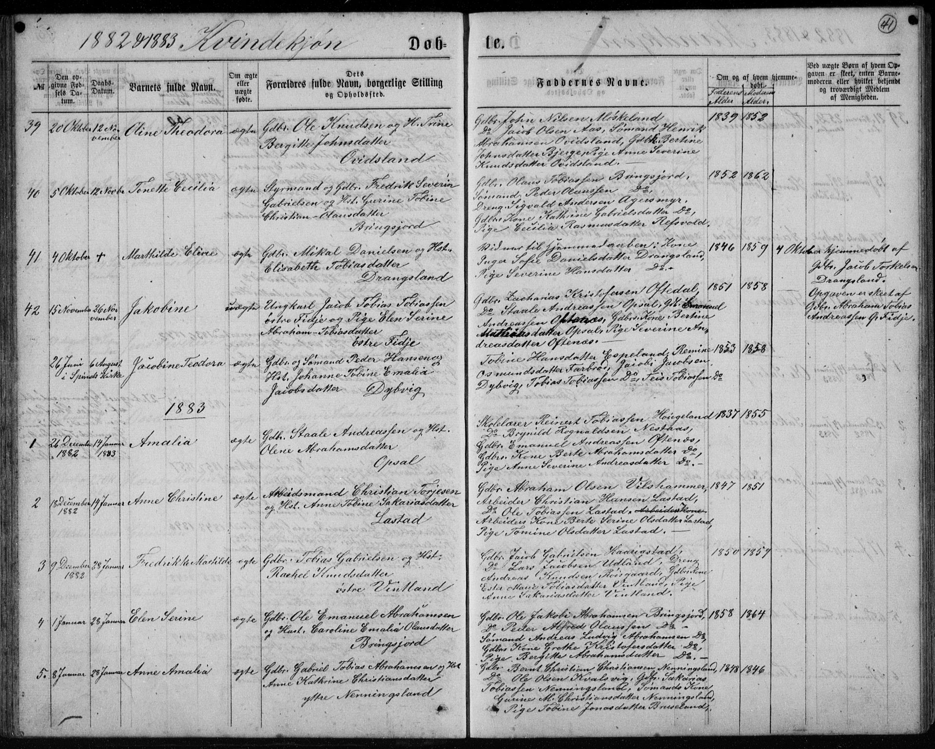 Lyngdal sokneprestkontor, AV/SAK-1111-0029/F/Fb/Fbc/L0004: Parish register (copy) no. B 4, 1878-1896, p. 41