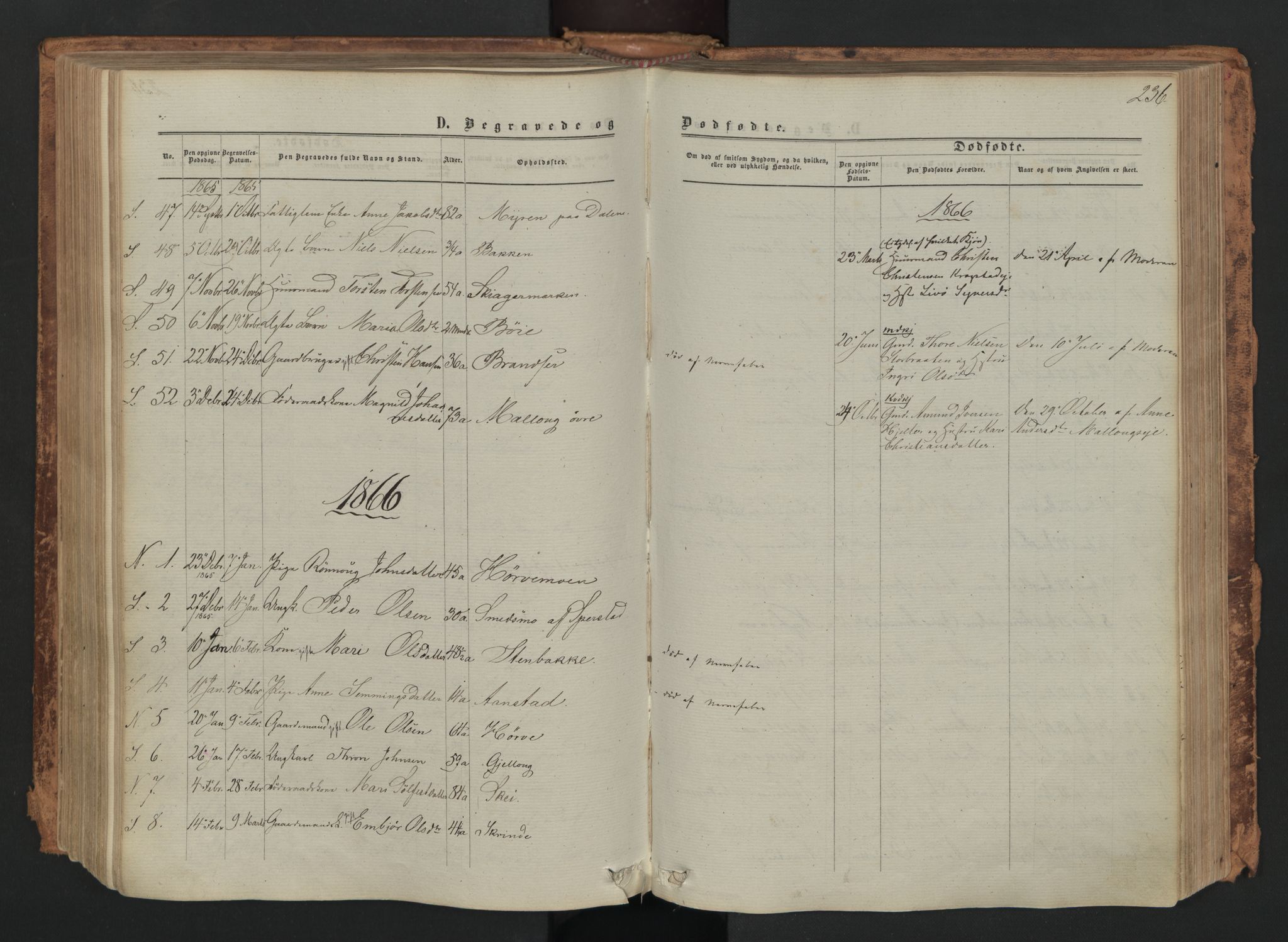 Skjåk prestekontor, AV/SAH-PREST-072/H/Ha/Haa/L0001: Parish register (official) no. 1, 1863-1879, p. 236