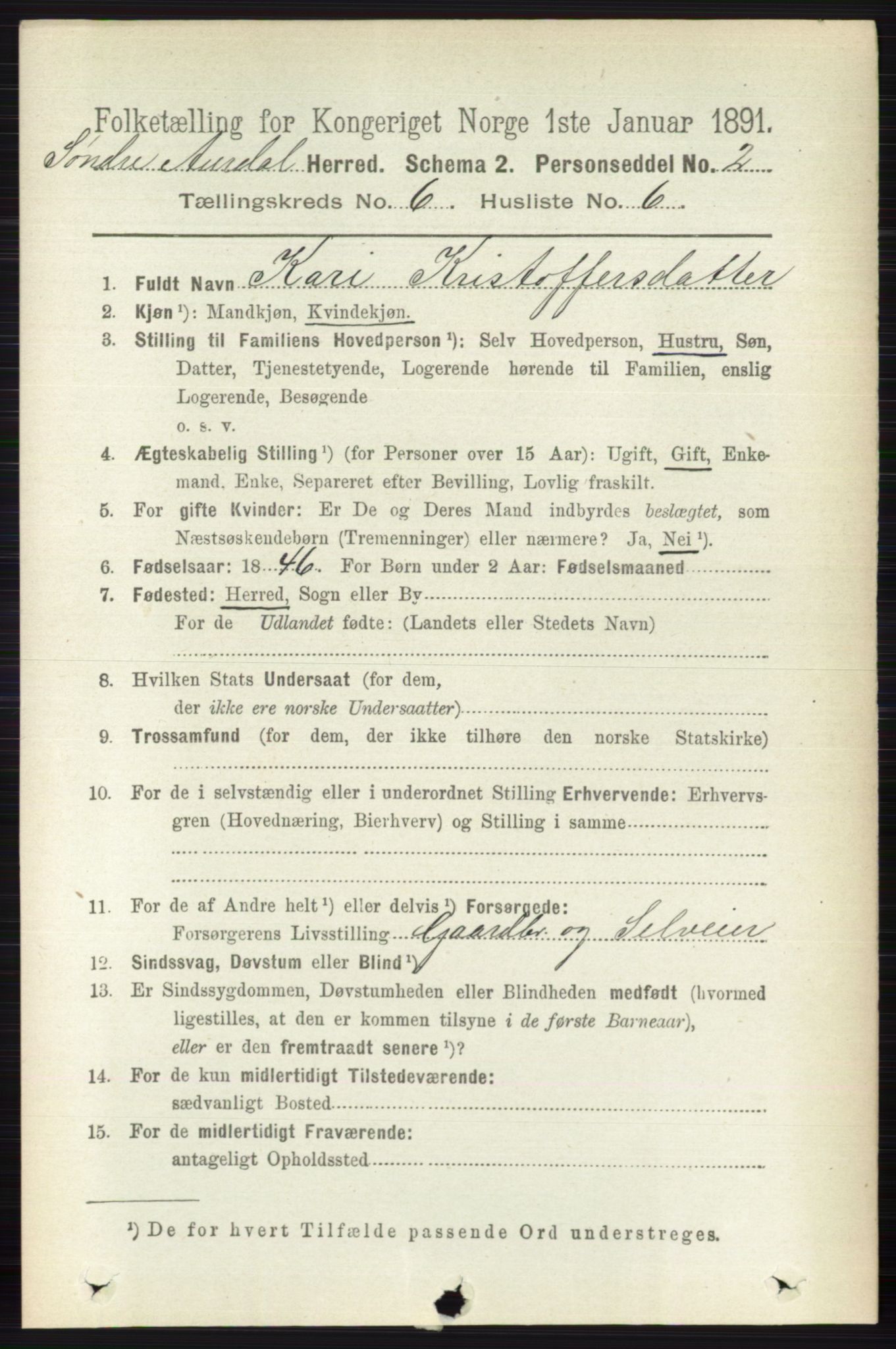RA, 1891 census for 0540 Sør-Aurdal, 1891, p. 3828