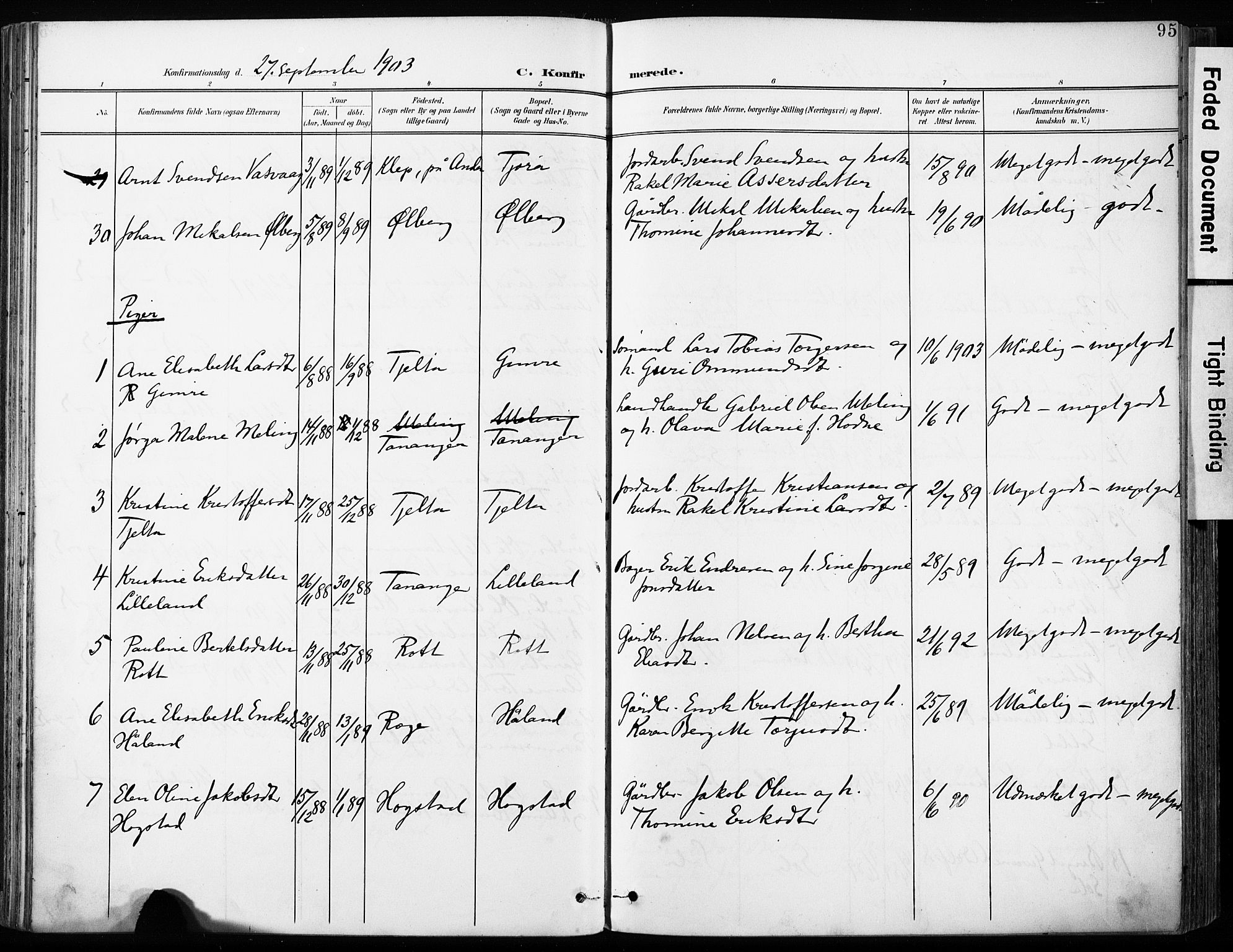 Håland sokneprestkontor, AV/SAST-A-101802/001/30BA/L0013: Parish register (official) no. A 12, 1901-1913, p. 95