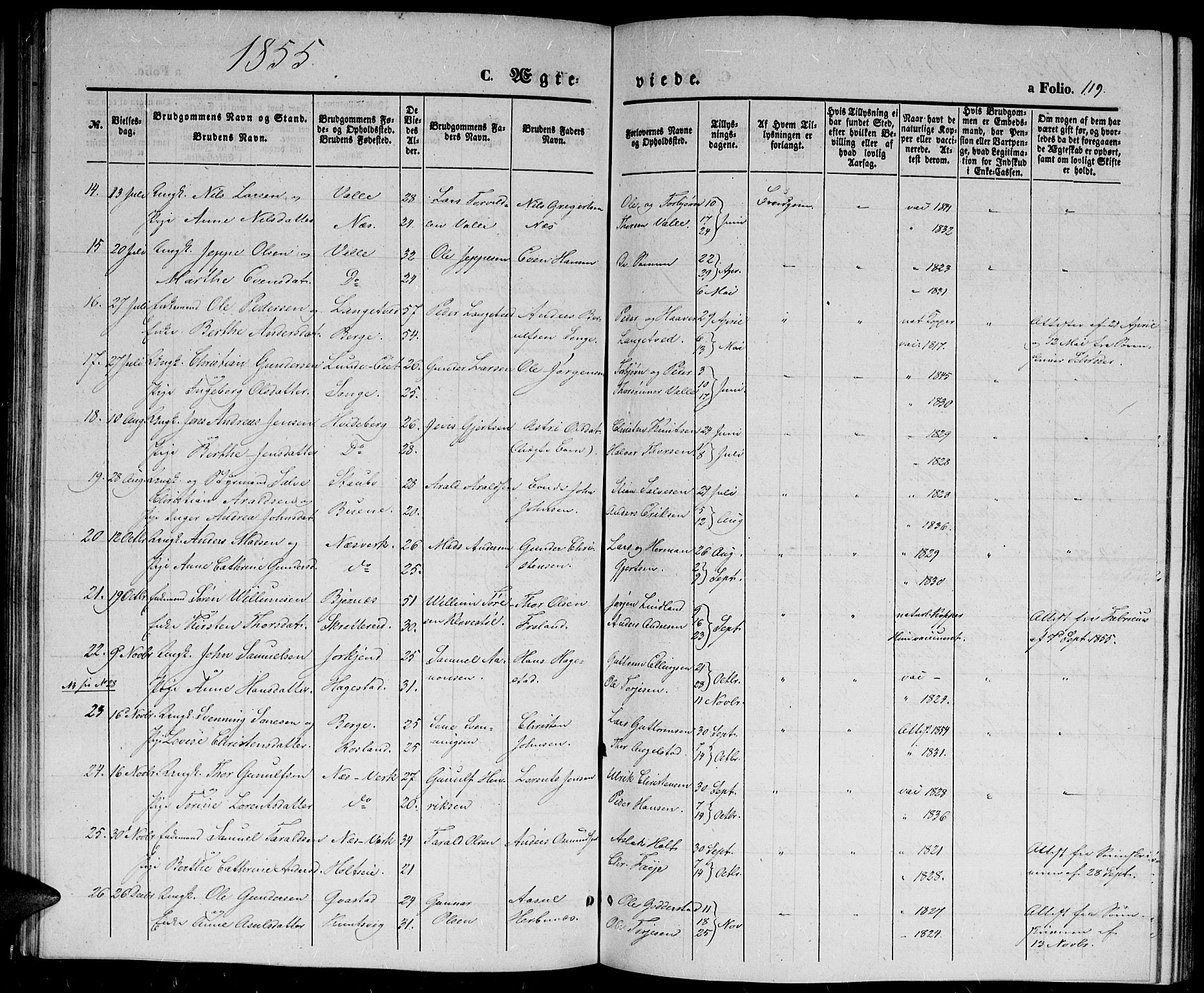 Holt sokneprestkontor, AV/SAK-1111-0021/F/Fb/L0007: Parish register (copy) no. B 7, 1849-1858, p. 119