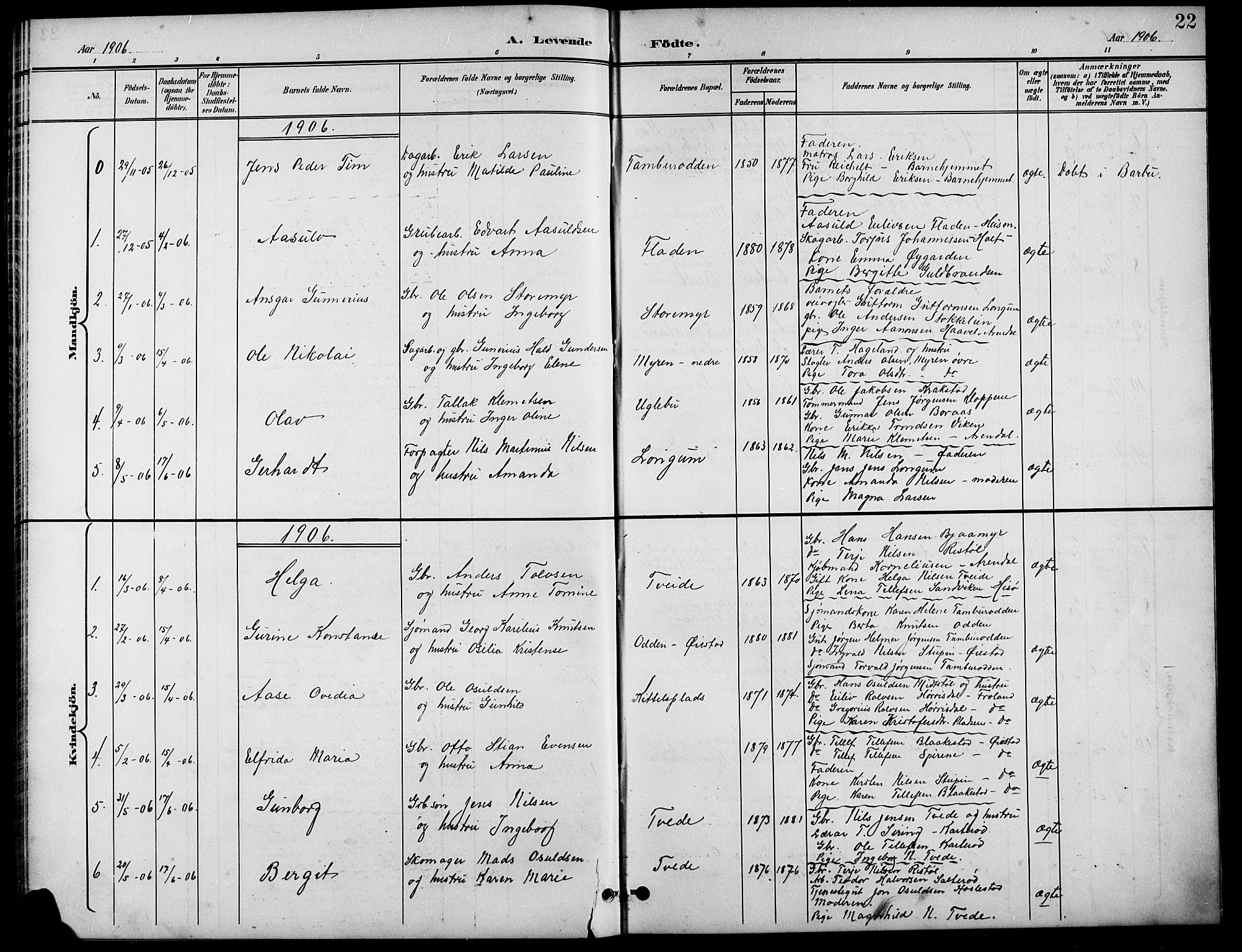 Austre Moland sokneprestkontor, SAK/1111-0001/F/Fb/Fba/L0004: Parish register (copy) no. B 4a, 1897-1913, p. 22
