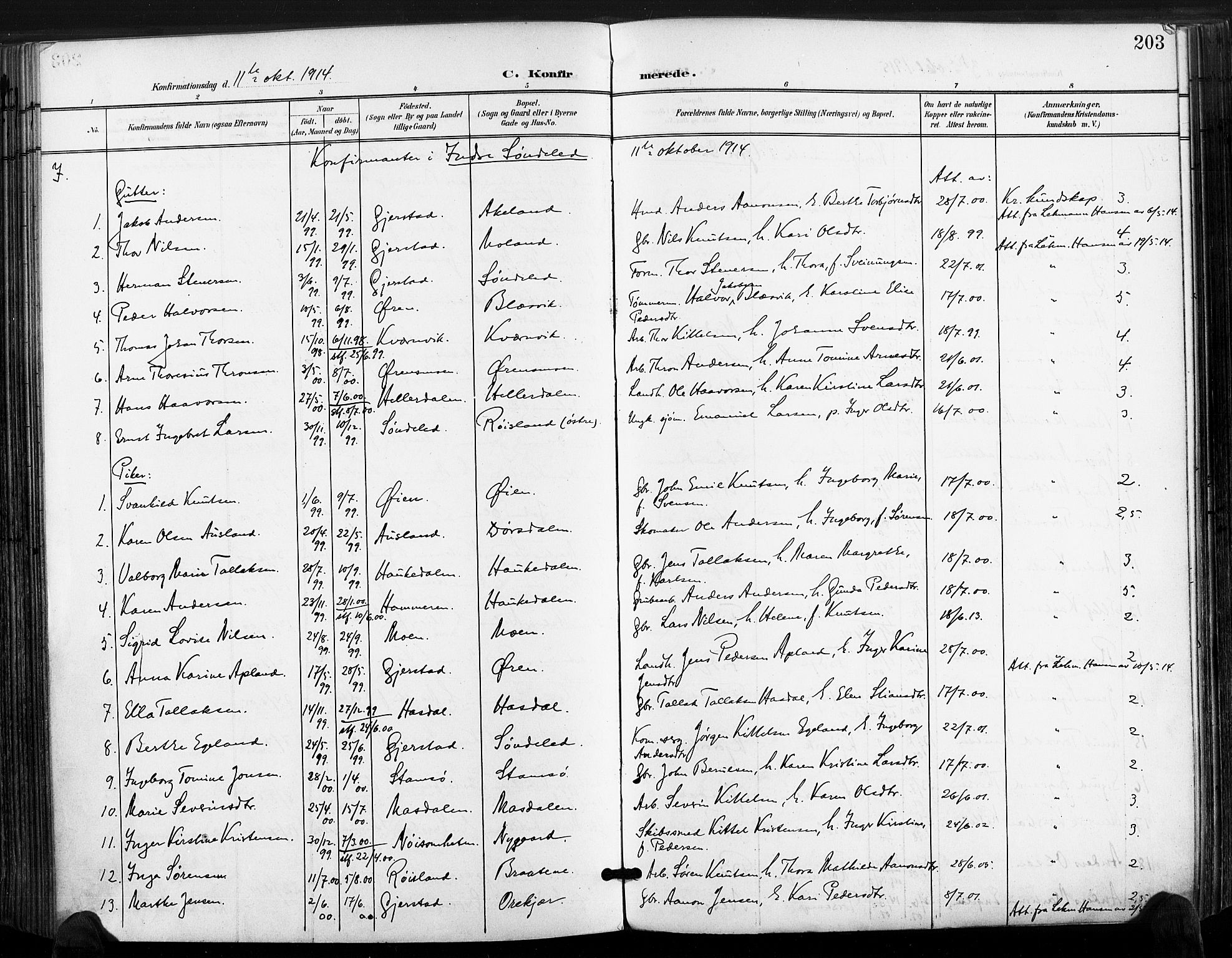 Søndeled sokneprestkontor, SAK/1111-0038/F/Fa/L0006: Parish register (official) no. A 6, 1900-1922, p. 204