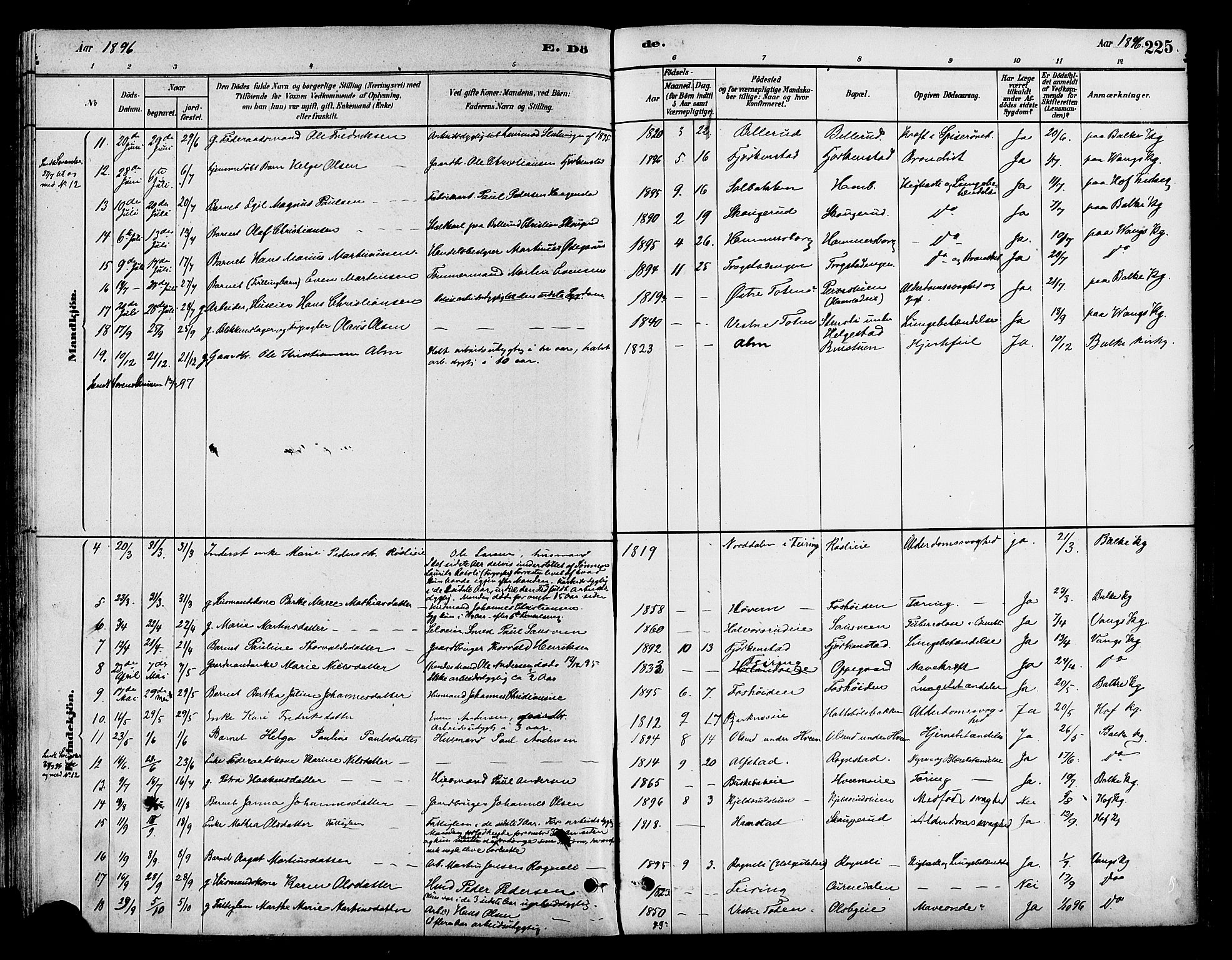 Østre Toten prestekontor, SAH/PREST-104/H/Ha/Haa/L0007: Parish register (official) no. 7, 1881-1896, p. 225