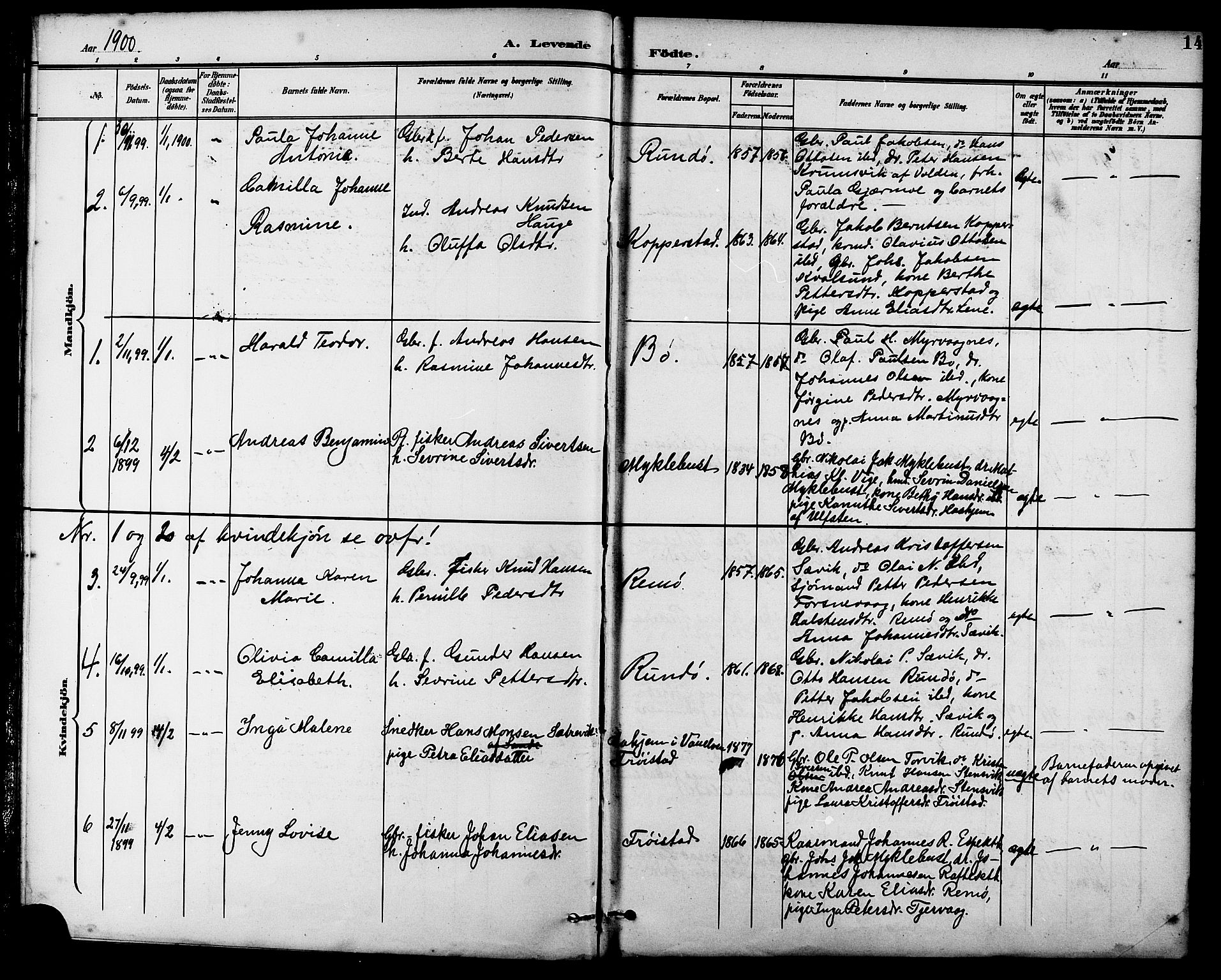 Ministerialprotokoller, klokkerbøker og fødselsregistre - Møre og Romsdal, AV/SAT-A-1454/507/L0082: Parish register (copy) no. 507C05, 1896-1914, p. 14