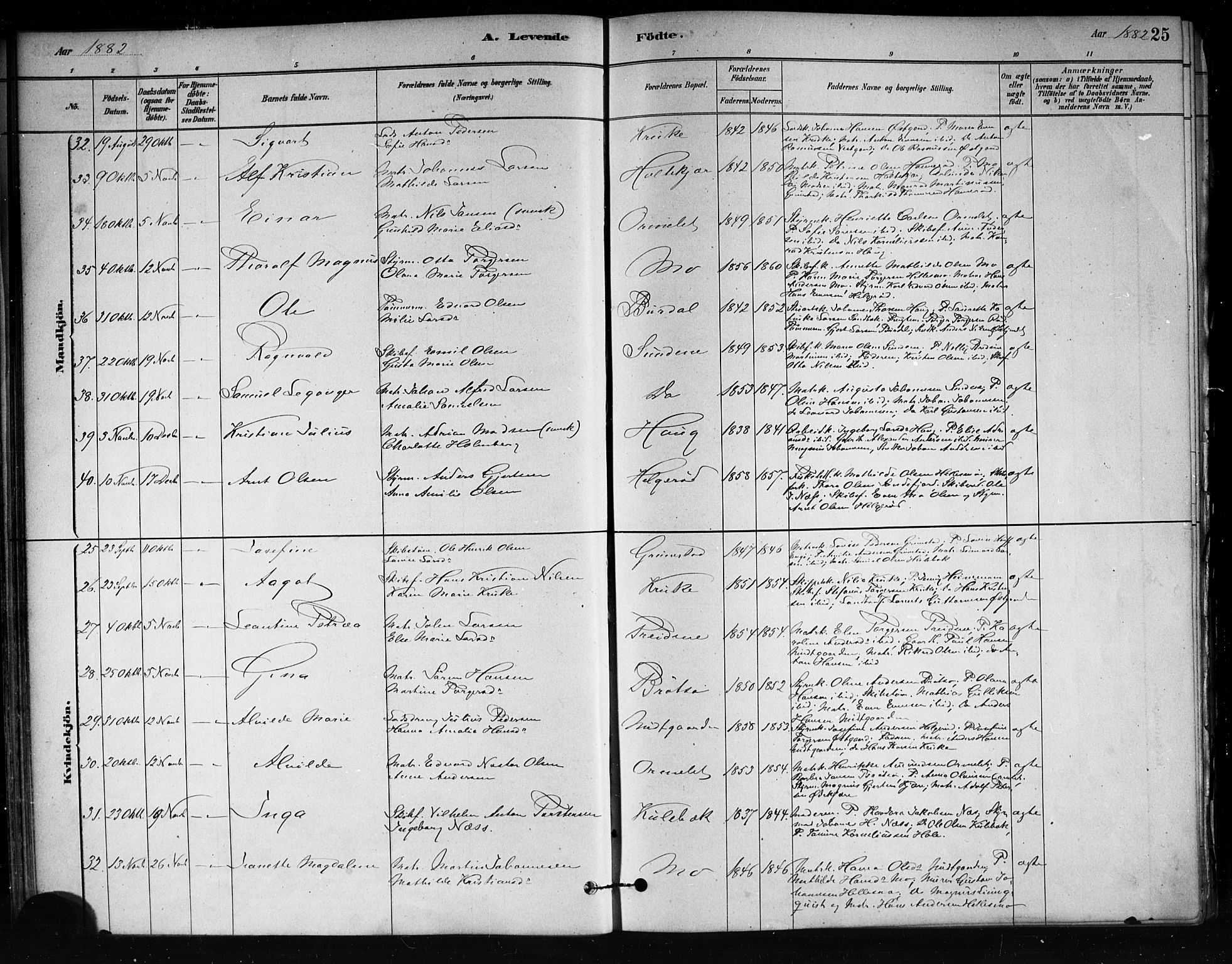 Tjøme kirkebøker, AV/SAKO-A-328/F/Fa/L0001: Parish register (official) no. I 1, 1879-1890, p. 25