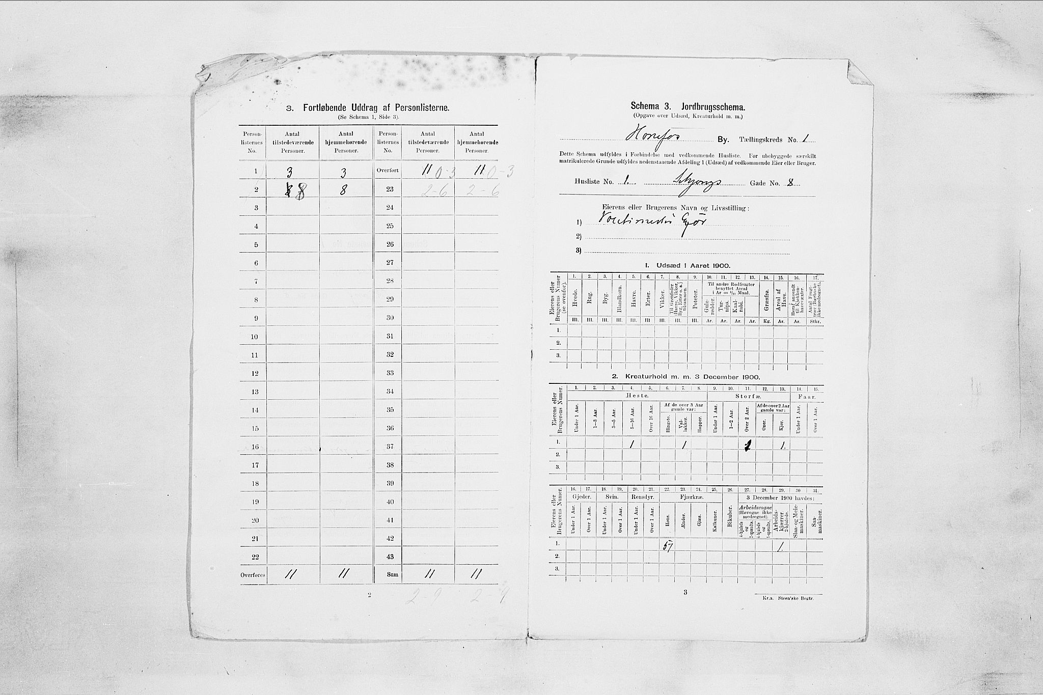 RA, 1900 census for Hønefoss, 1900, p. 29