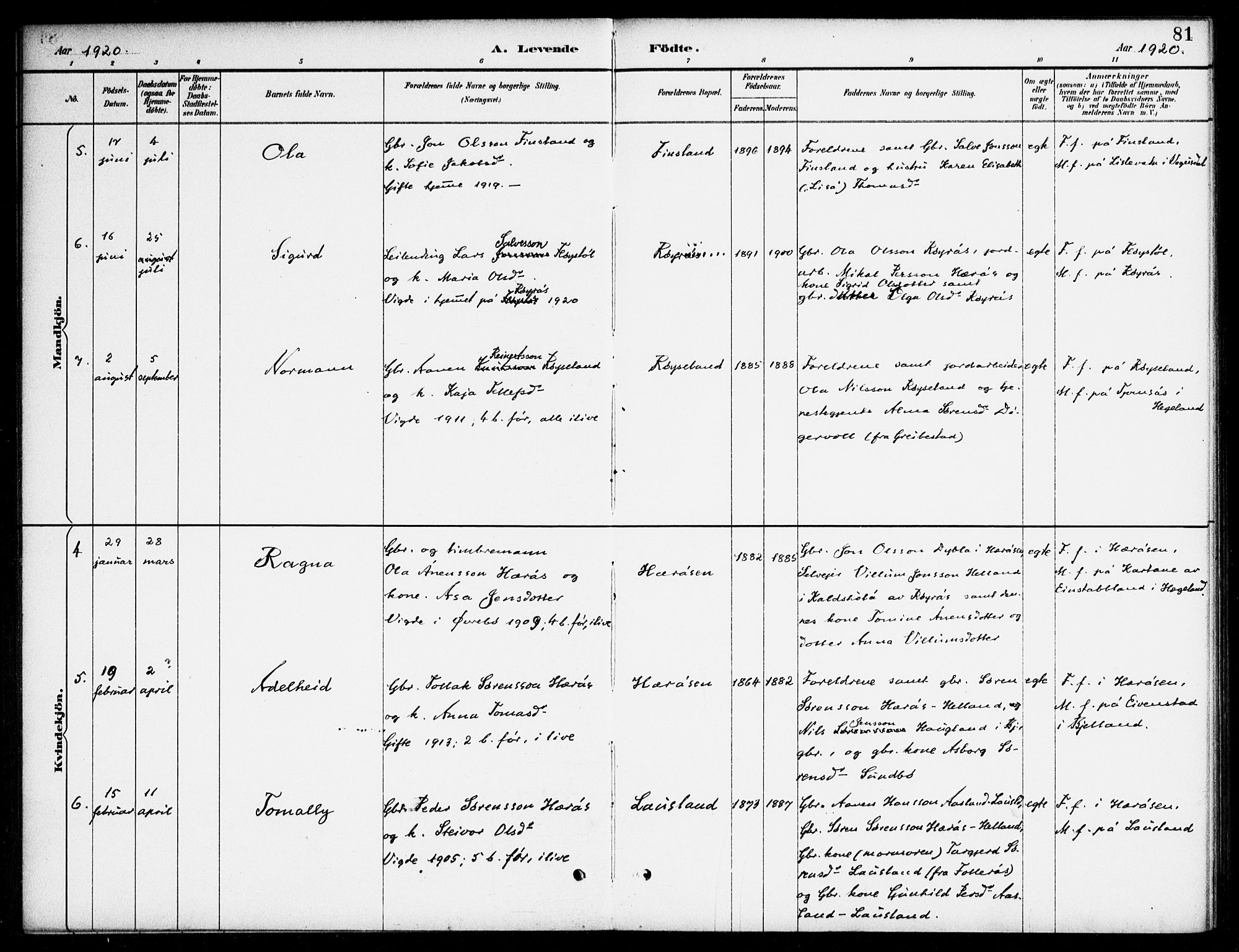 Bjelland sokneprestkontor, AV/SAK-1111-0005/F/Fa/Fab/L0004: Parish register (official) no. A 4, 1887-1920, p. 81