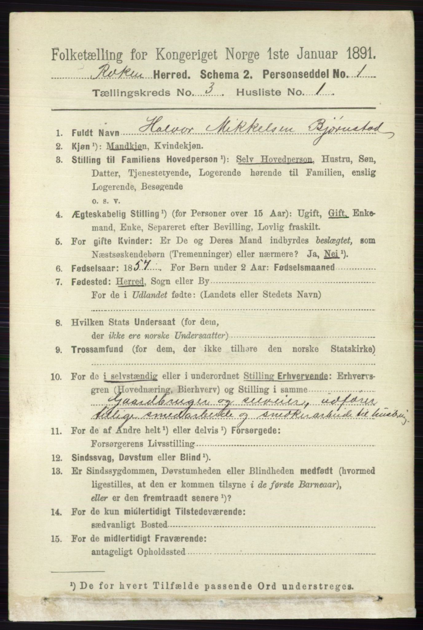 RA, 1891 census for 0627 Røyken, 1891, p. 1196