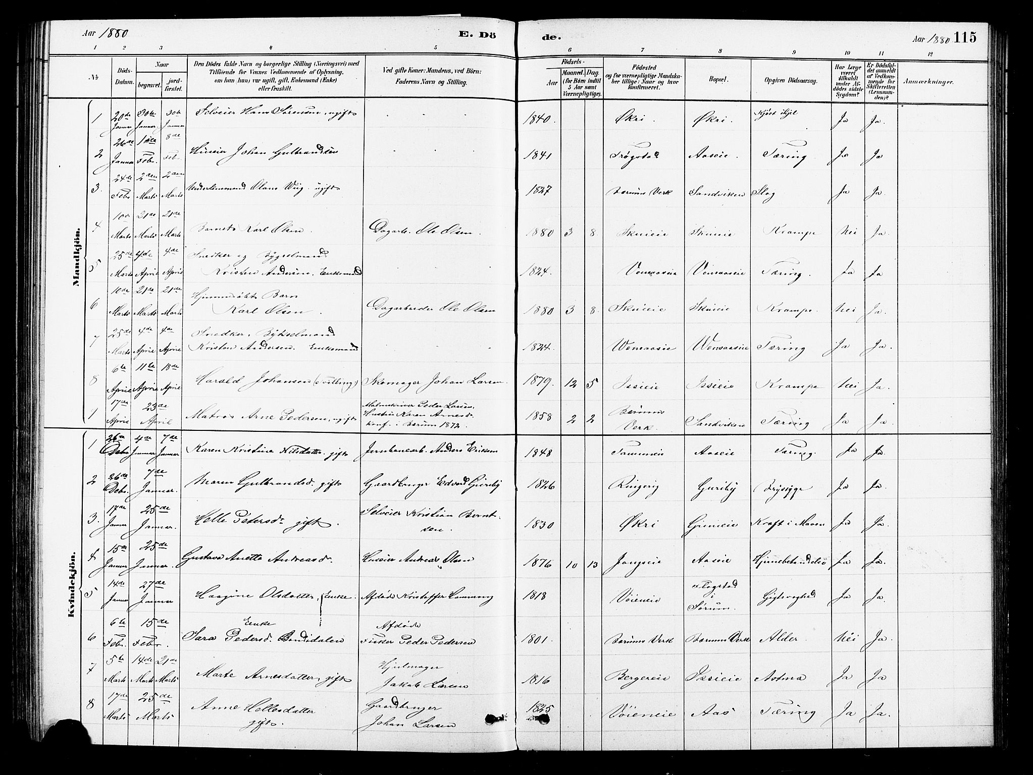 Asker prestekontor Kirkebøker, SAO/A-10256a/F/Fb/L0001: Parish register (official) no. II 1, 1879-1895, p. 115