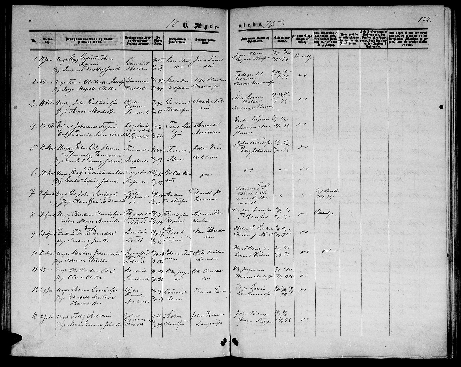 Hommedal sokneprestkontor, SAK/1111-0023/F/Fb/Fbb/L0006: Parish register (copy) no. B 6, 1869-1884, p. 133