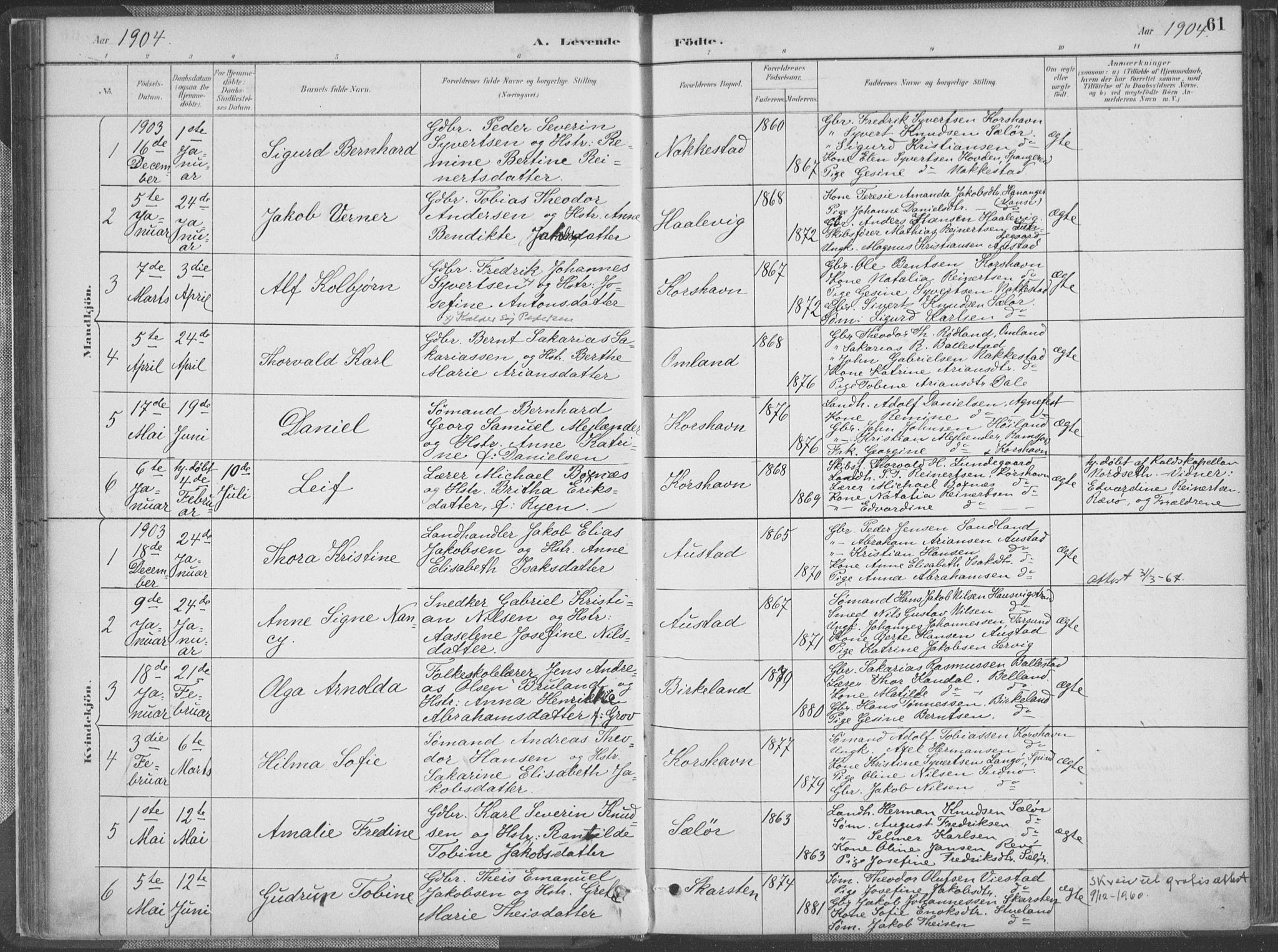 Lyngdal sokneprestkontor, SAK/1111-0029/F/Fa/Faa/L0004: Parish register (official) no. A 4, 1883-1904, p. 61