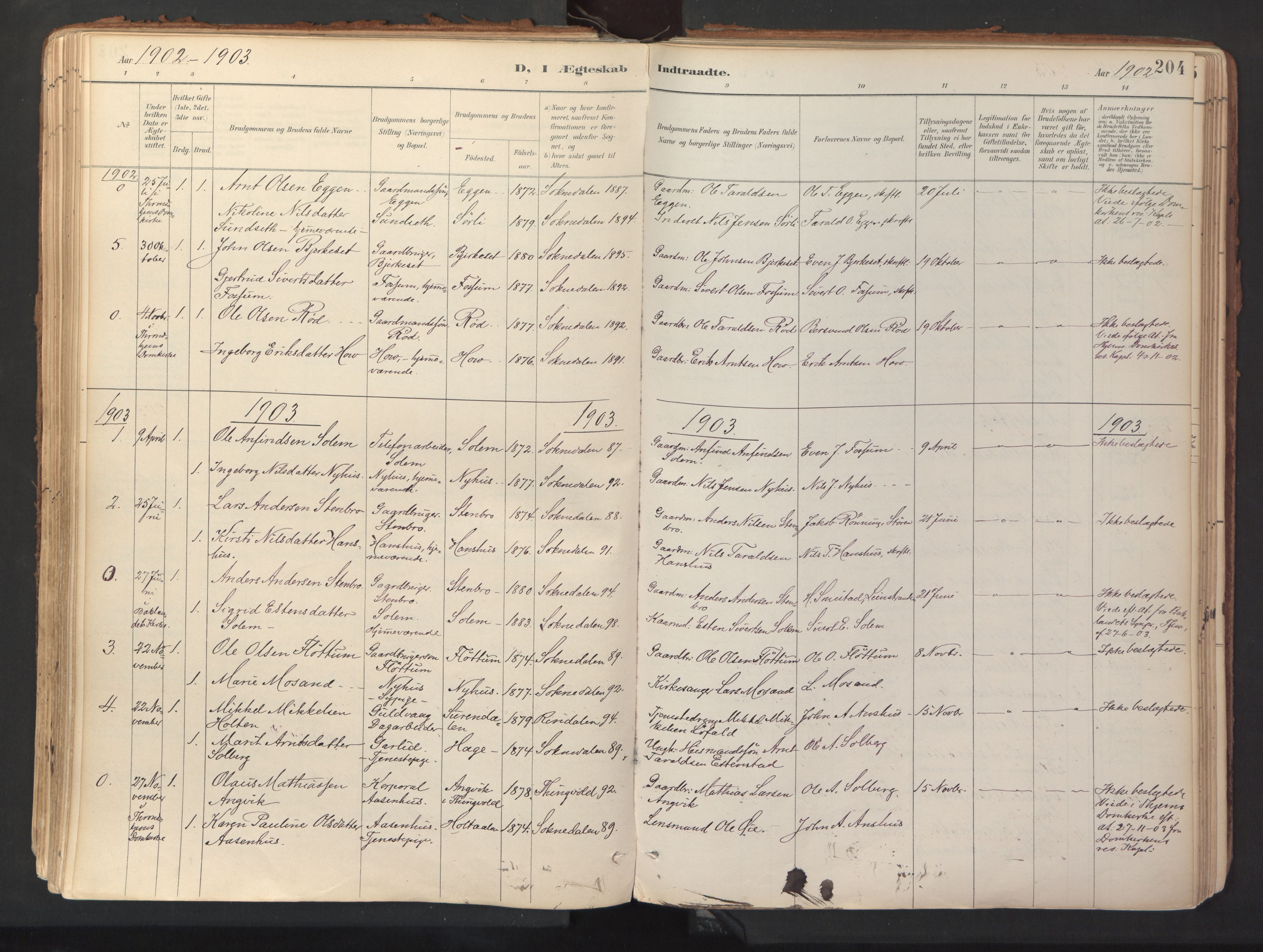 Ministerialprotokoller, klokkerbøker og fødselsregistre - Sør-Trøndelag, SAT/A-1456/689/L1041: Parish register (official) no. 689A06, 1891-1923, p. 204