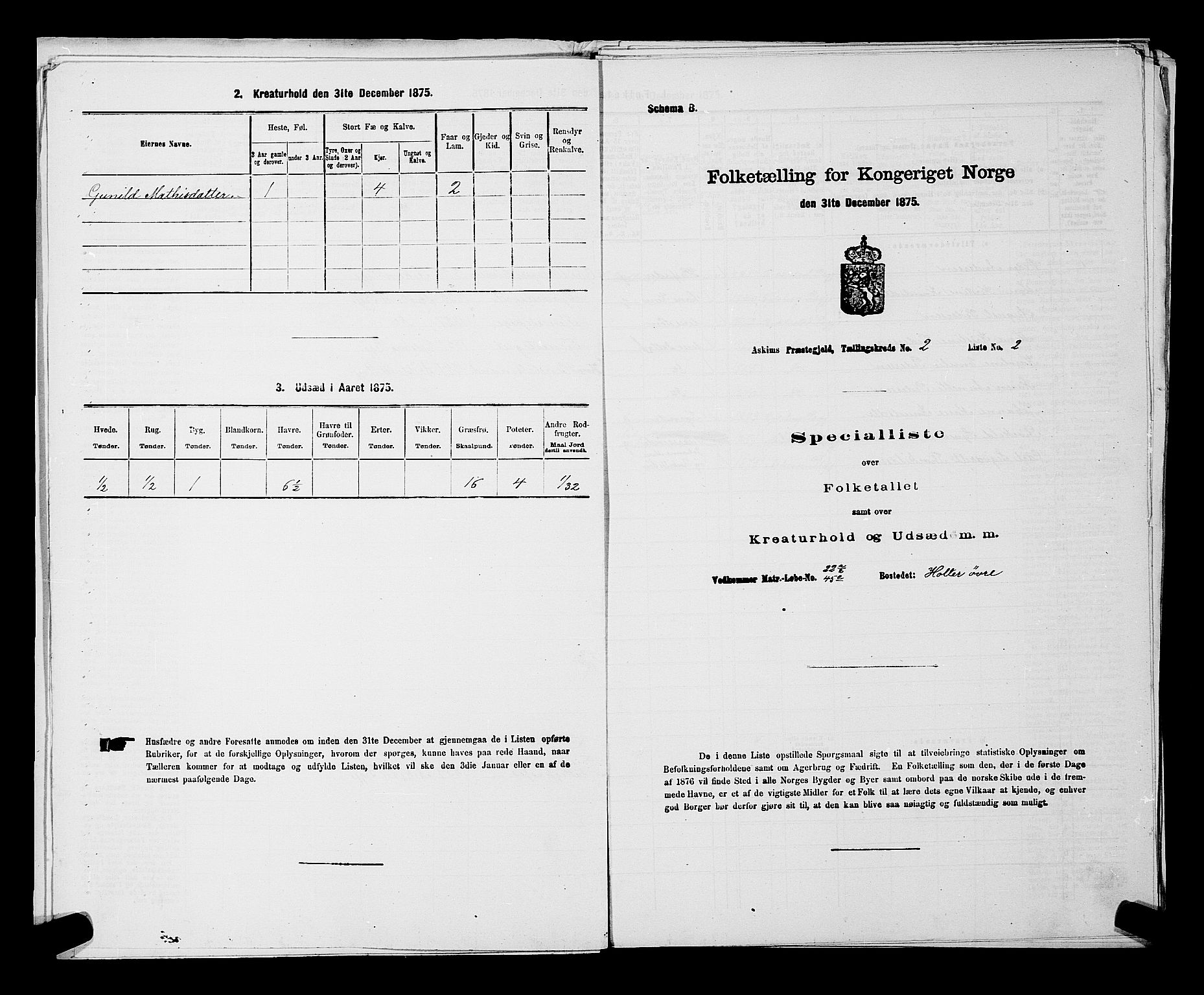 RA, 1875 census for 0124P Askim, 1875, p. 124