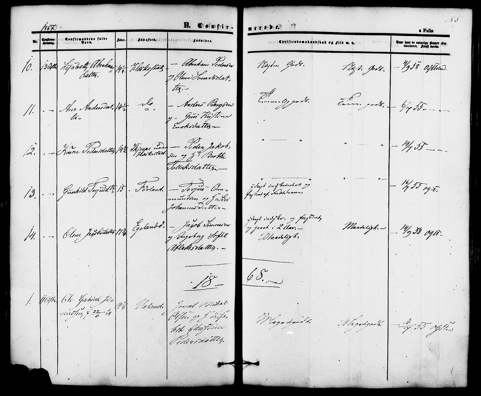 Lund sokneprestkontor, AV/SAST-A-101809/S06/L0010: Parish register (official) no. A 9, 1854-1886, p. 185