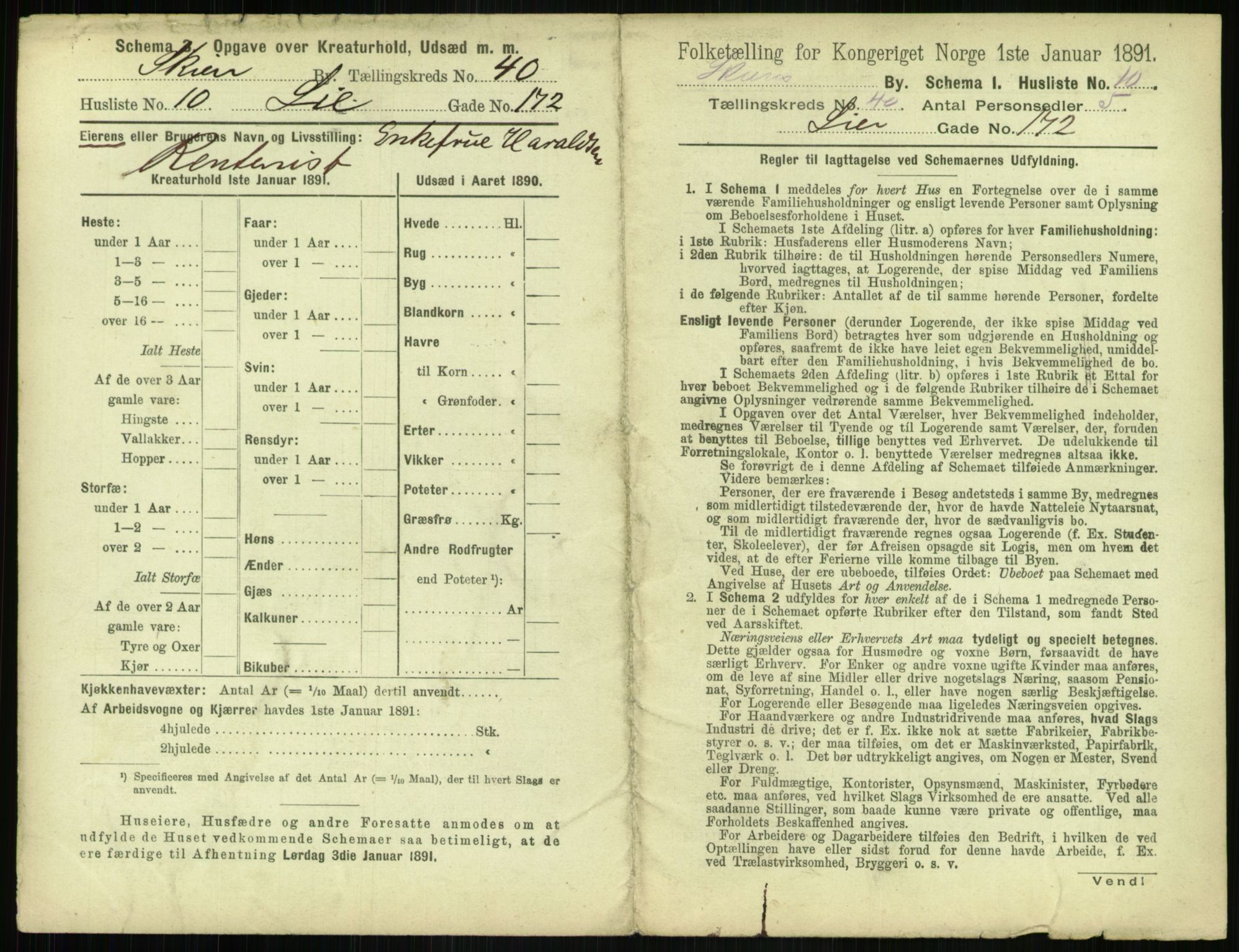 RA, 1891 census for 0806 Skien, 1891, p. 1454