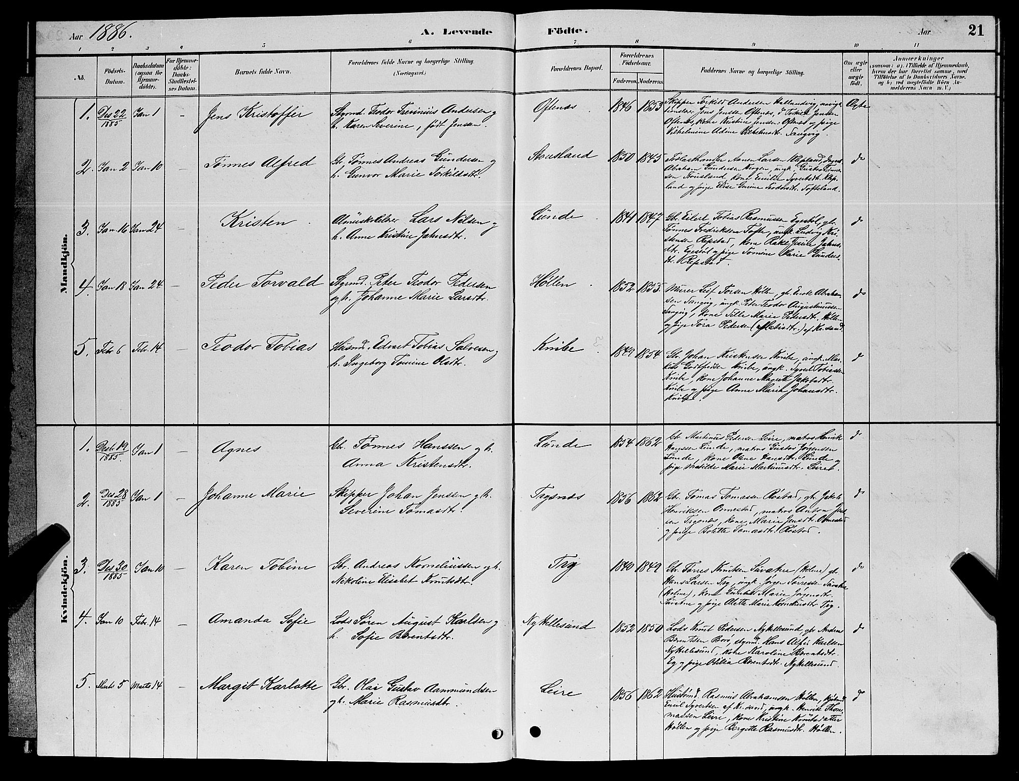 Søgne sokneprestkontor, SAK/1111-0037/F/Fb/Fbb/L0005: Parish register (copy) no. B 5, 1884-1891, p. 21