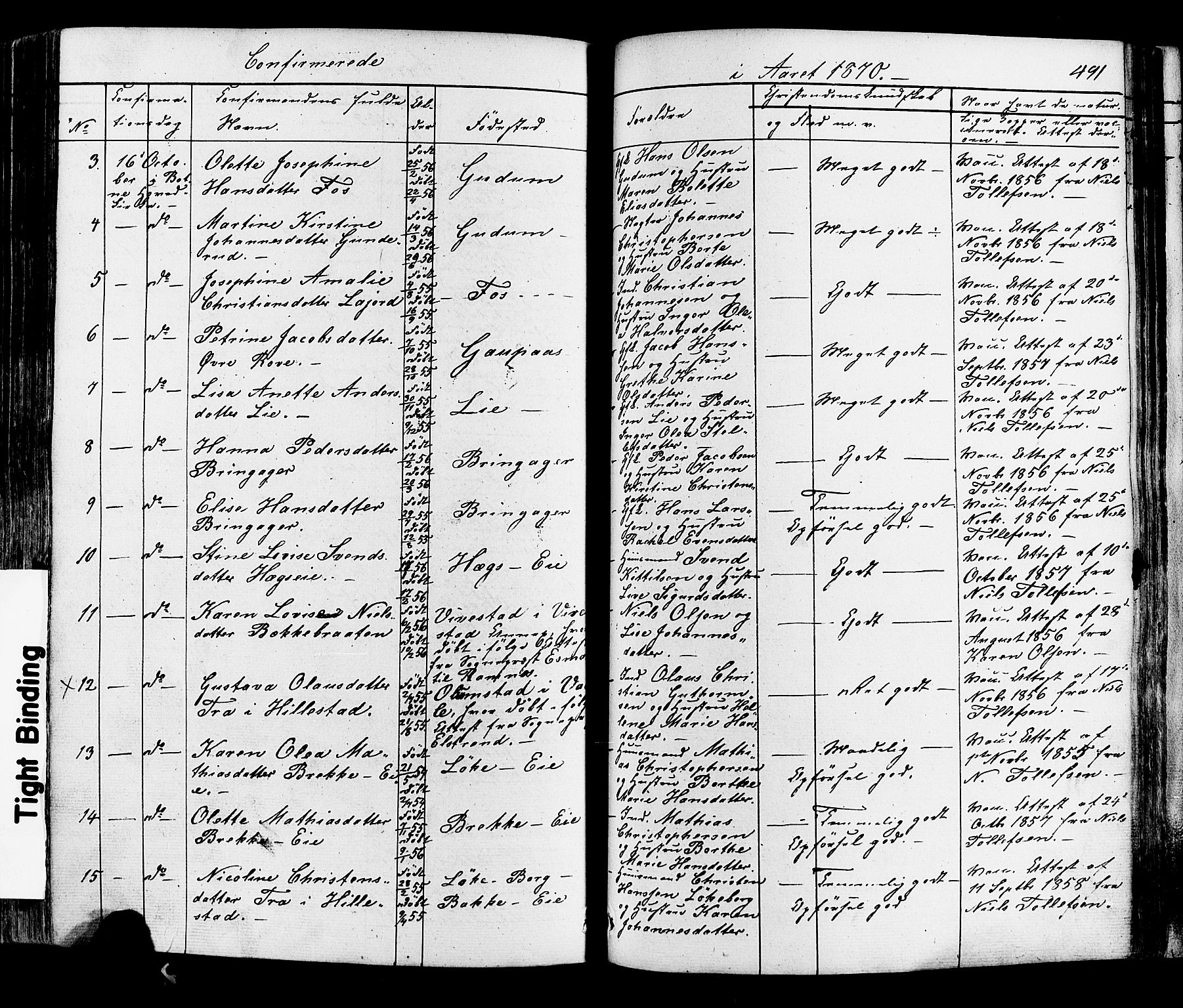 Botne kirkebøker, SAKO/A-340/F/Fa/L0006: Parish register (official) no. I 6, 1836-1877, p. 491