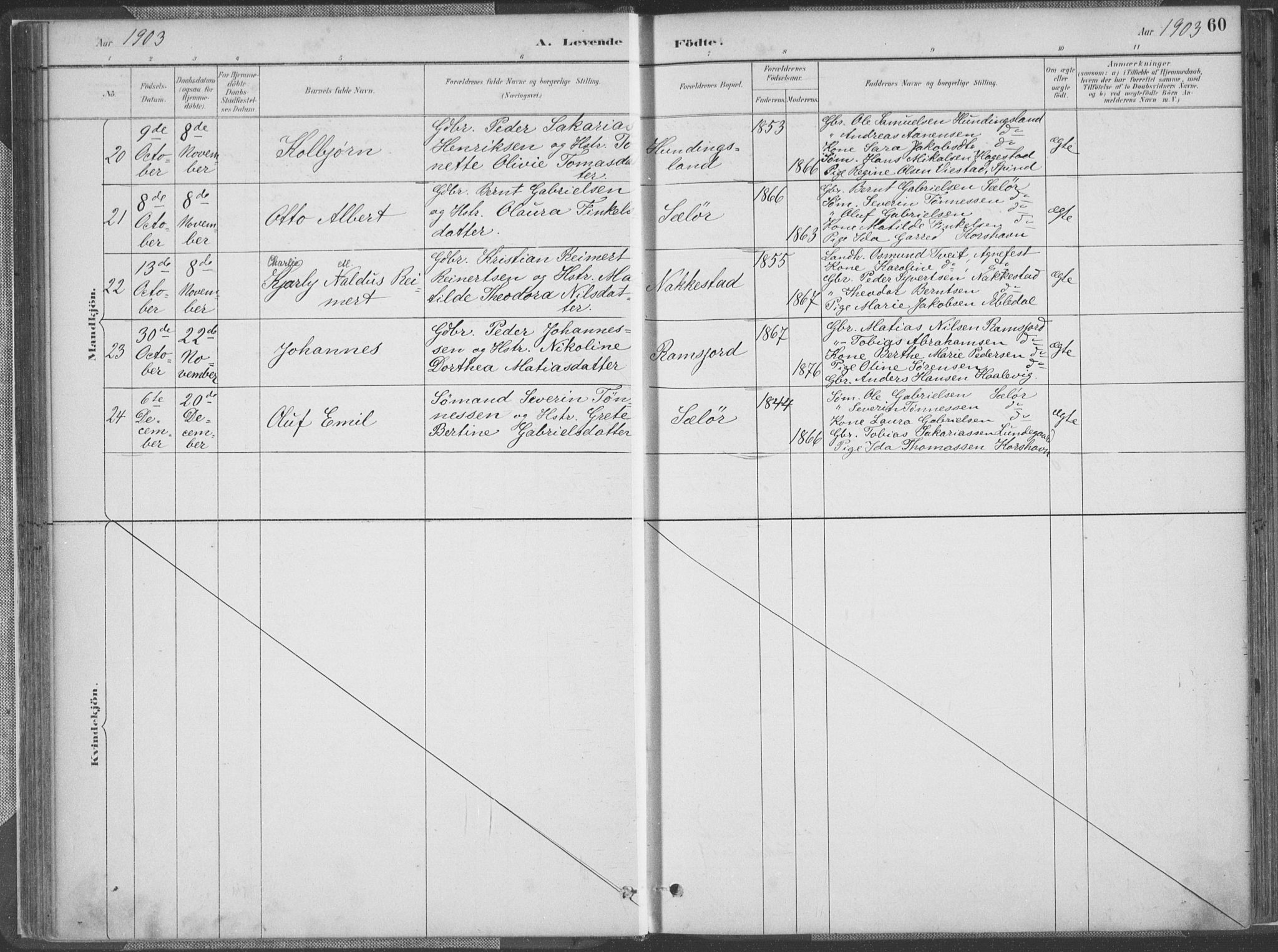 Lyngdal sokneprestkontor, AV/SAK-1111-0029/F/Fa/Faa/L0004: Parish register (official) no. A 4, 1883-1904, p. 60