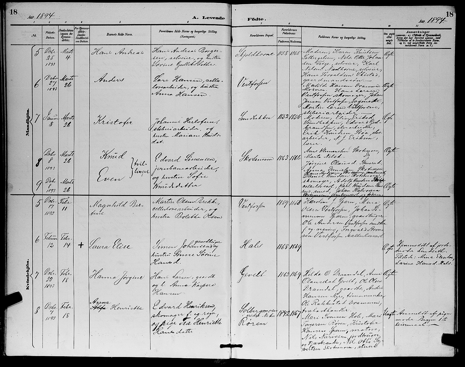 Eiker kirkebøker, SAKO/A-4/G/Ga/L0007: Parish register (copy) no. I 7, 1893-1902, p. 18