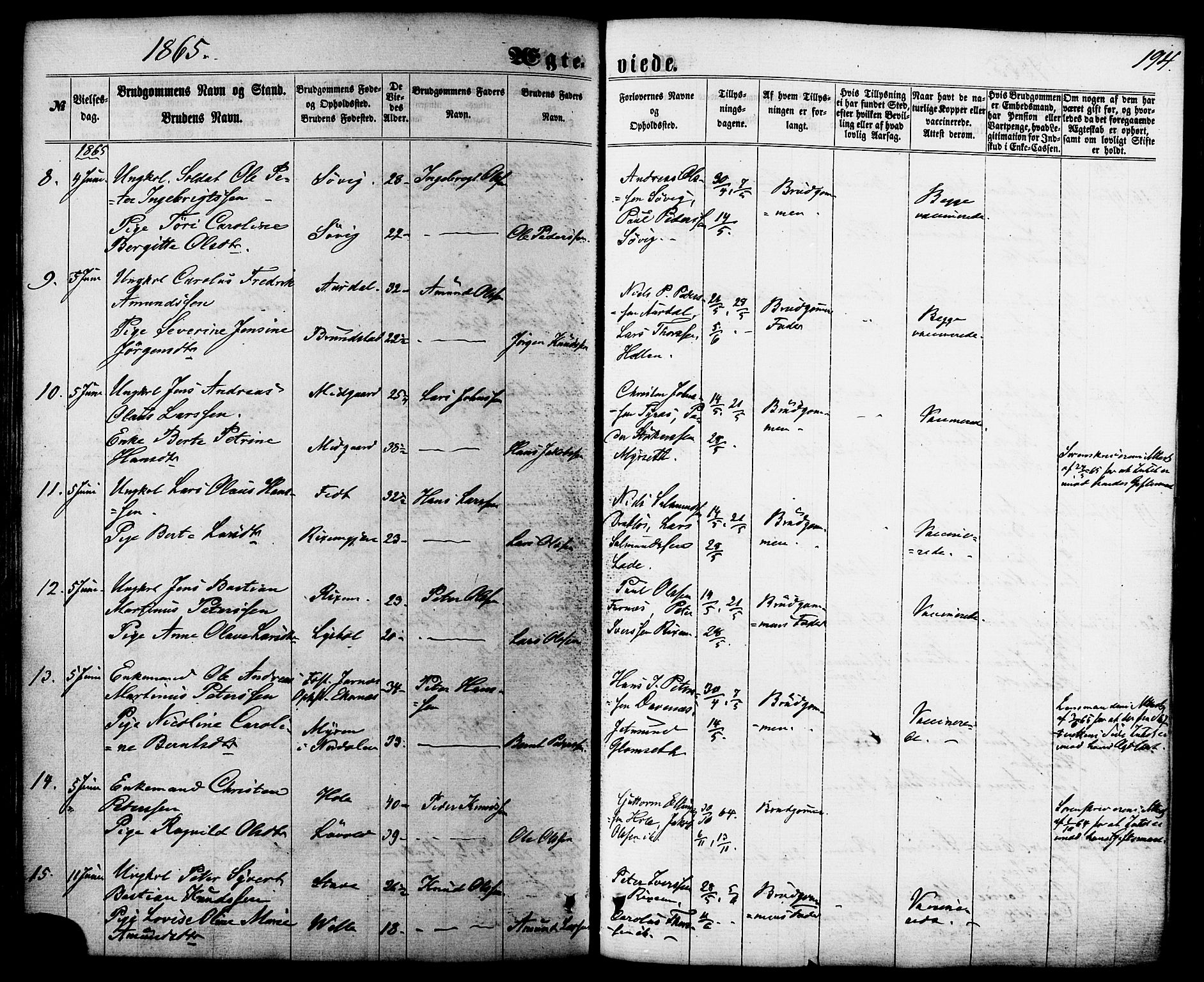 Ministerialprotokoller, klokkerbøker og fødselsregistre - Møre og Romsdal, AV/SAT-A-1454/522/L0314: Parish register (official) no. 522A09, 1863-1877, p. 194