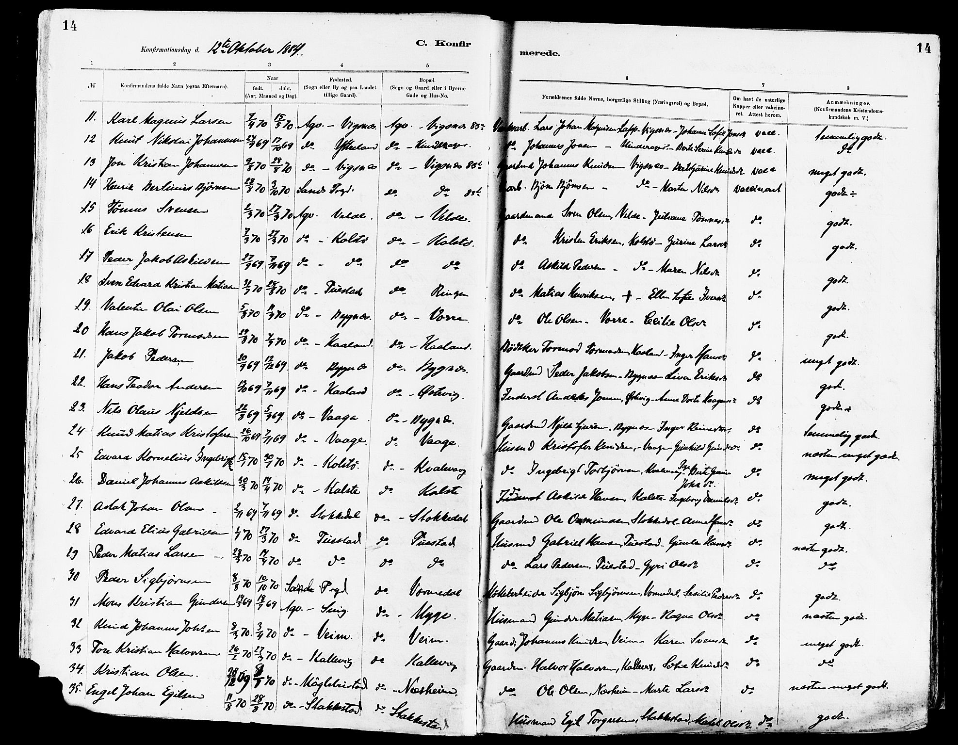 Avaldsnes sokneprestkontor, AV/SAST-A -101851/H/Ha/Haa/L0015: Parish register (official) no. A 15, 1880-1906, p. 14