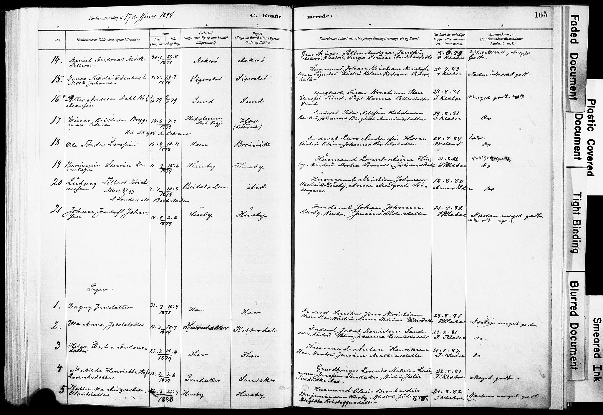 Ministerialprotokoller, klokkerbøker og fødselsregistre - Nordland, SAT/A-1459/835/L0525: Parish register (official) no. 835A03I, 1881-1910, p. 165