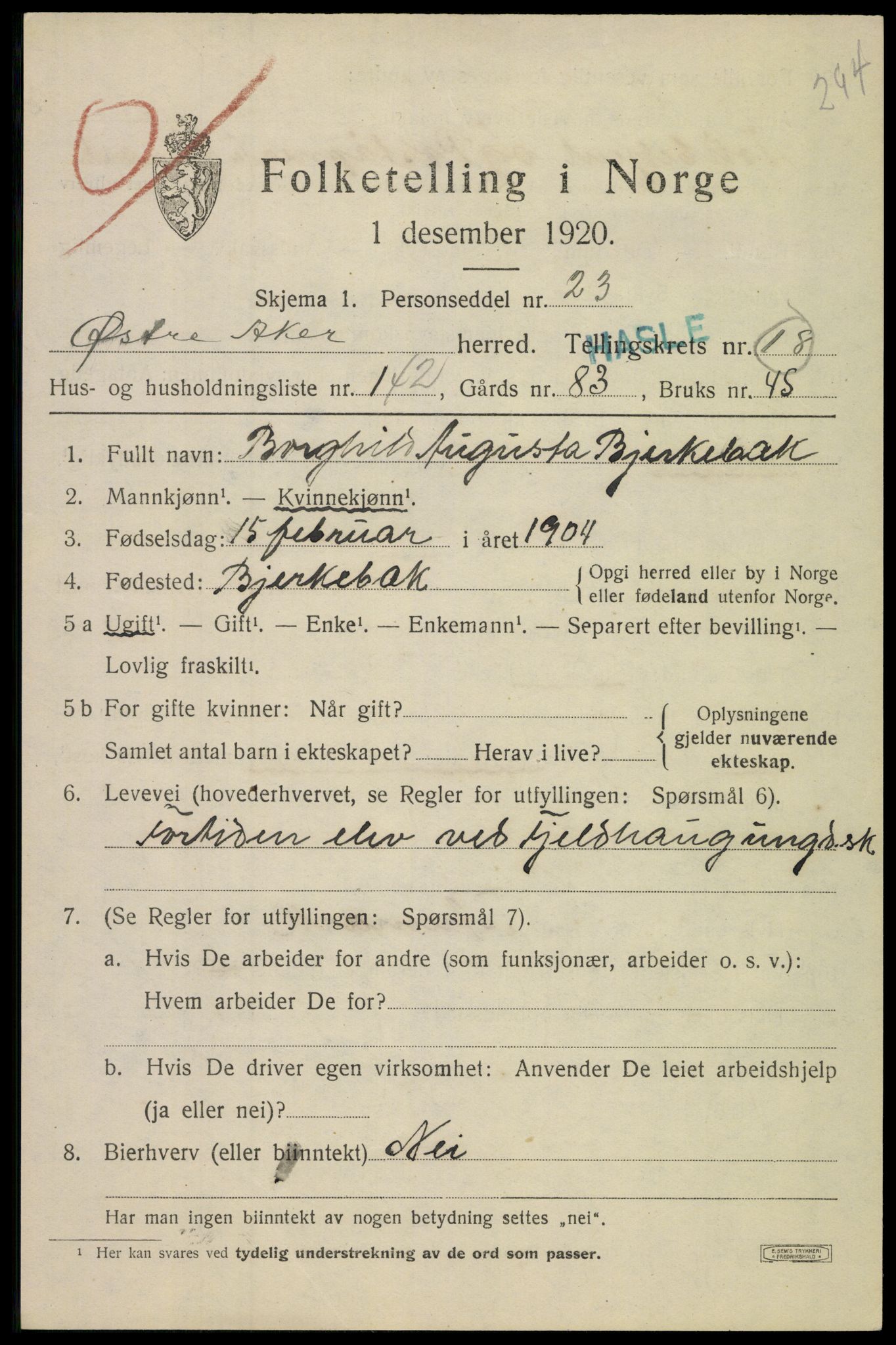 SAO, 1920 census for Aker, 1920, p. 113900