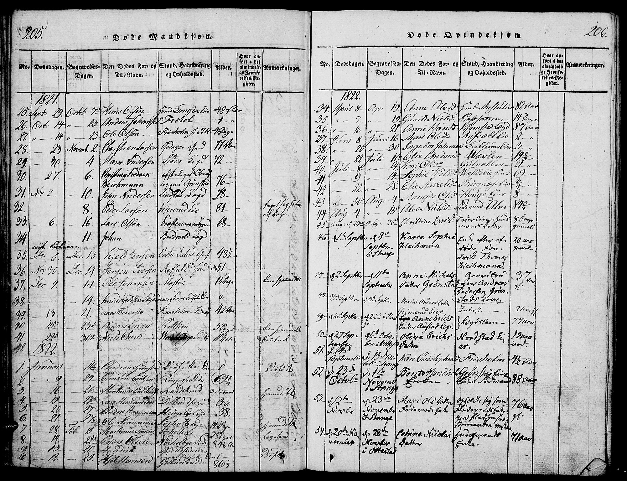 Stange prestekontor, SAH/PREST-002/K/L0008: Parish register (official) no. 8, 1814-1825, p. 205-206