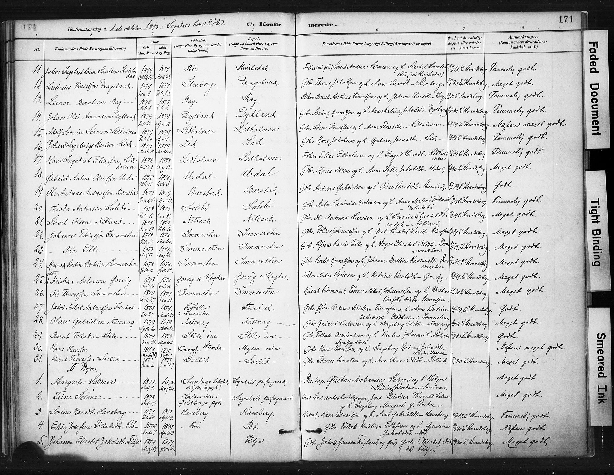 Sokndal sokneprestkontor, AV/SAST-A-101808: Parish register (official) no. A 11.1, 1887-1905, p. 171