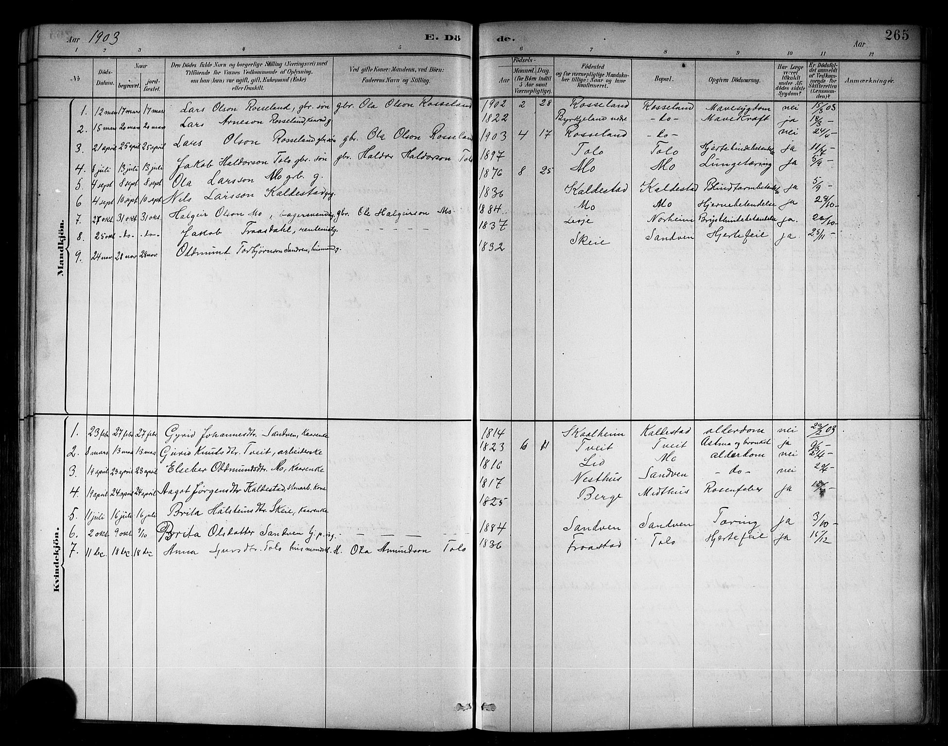 Kvam sokneprestembete, SAB/A-76201/H/Hab: Parish register (copy) no. B 3, 1884-1916, p. 265