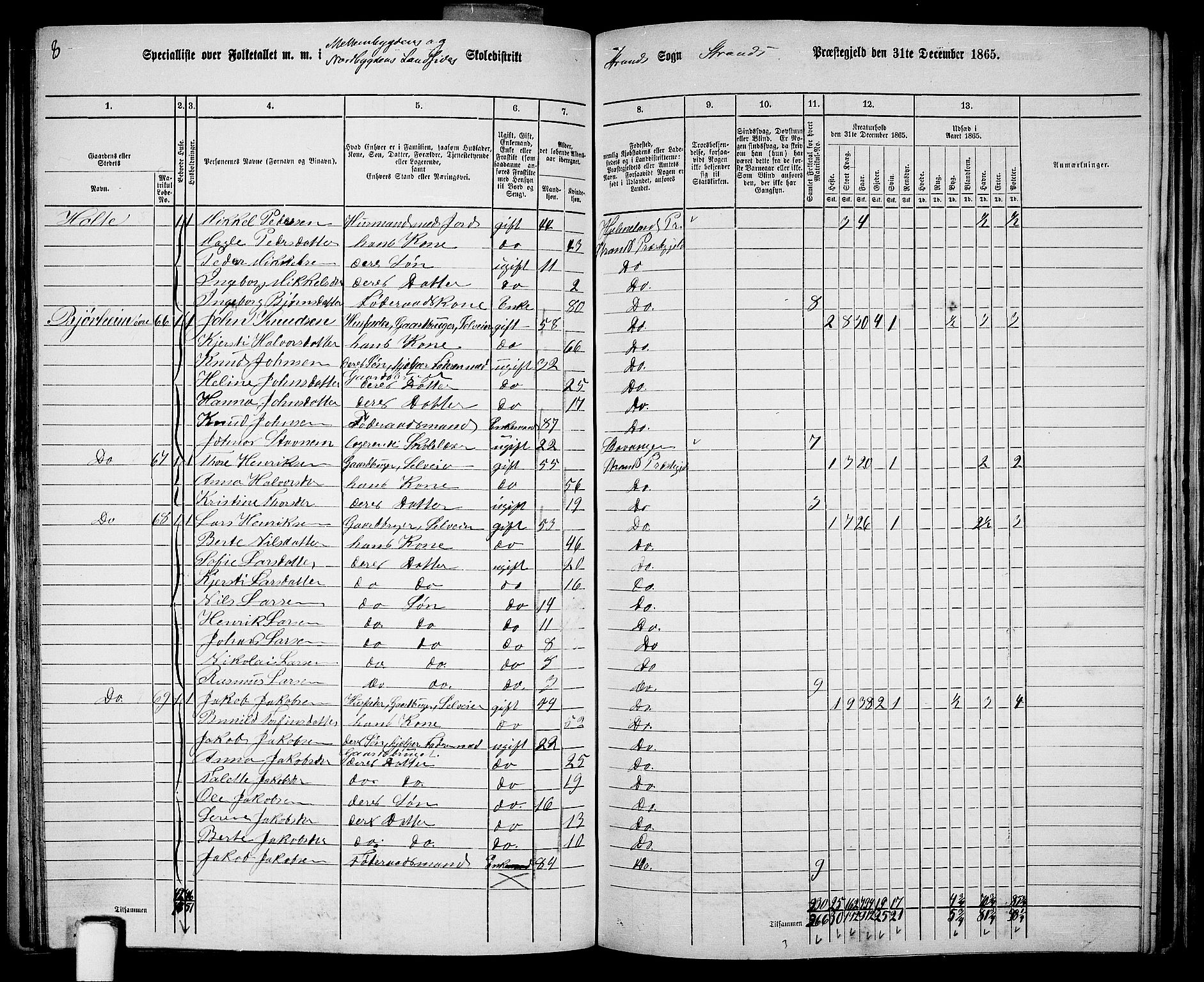 RA, 1865 census for Strand, 1865, p. 30