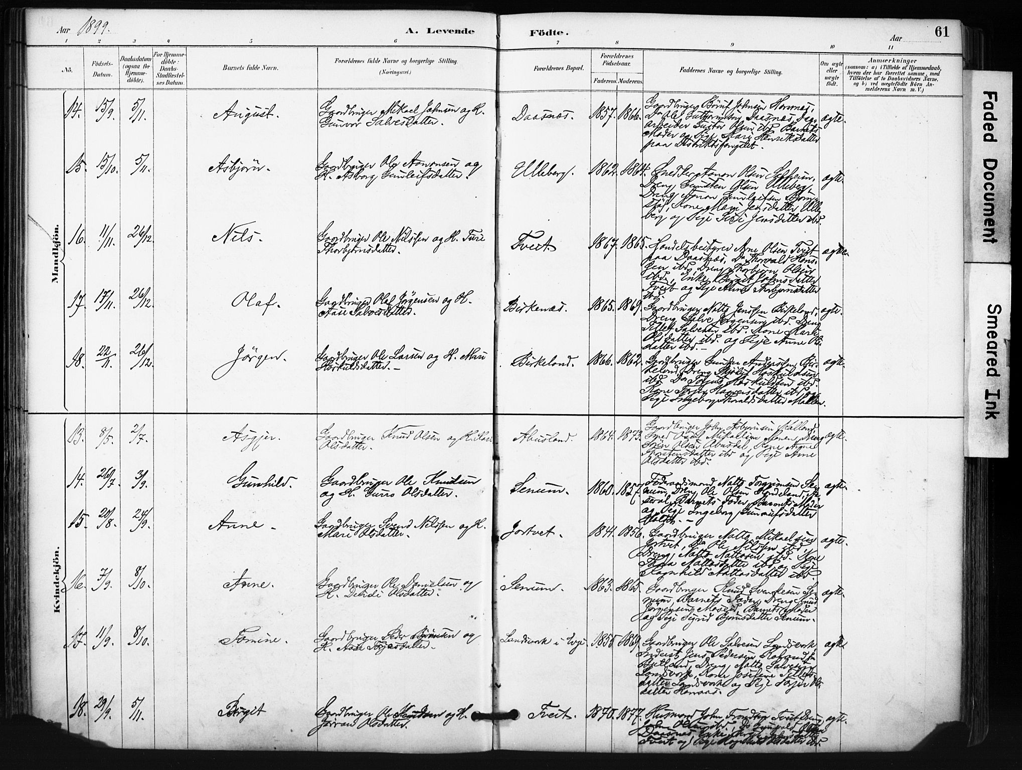 Evje sokneprestkontor, AV/SAK-1111-0008/F/Fa/Fab/L0003: Parish register (official) no. A 3, 1884-1909, p. 61