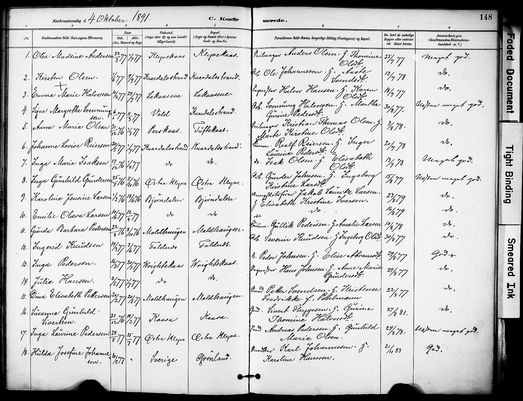 Solum kirkebøker, AV/SAKO-A-306/F/Fa/L0010: Parish register (official) no. I 10, 1888-1898, p. 148
