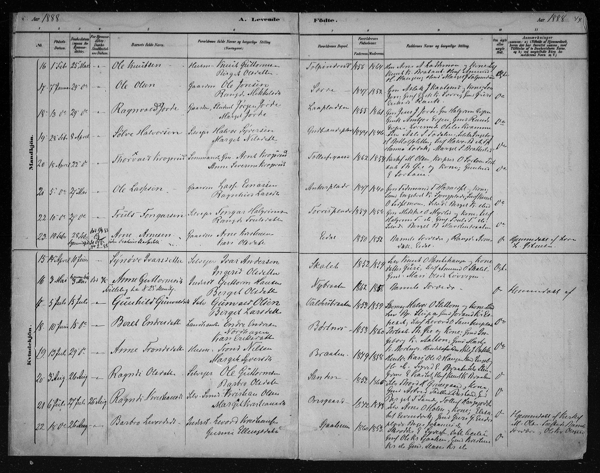 Nes kirkebøker, AV/SAKO-A-236/F/Fa/L0011: Parish register (official) no. 11, 1881-1912, p. 44
