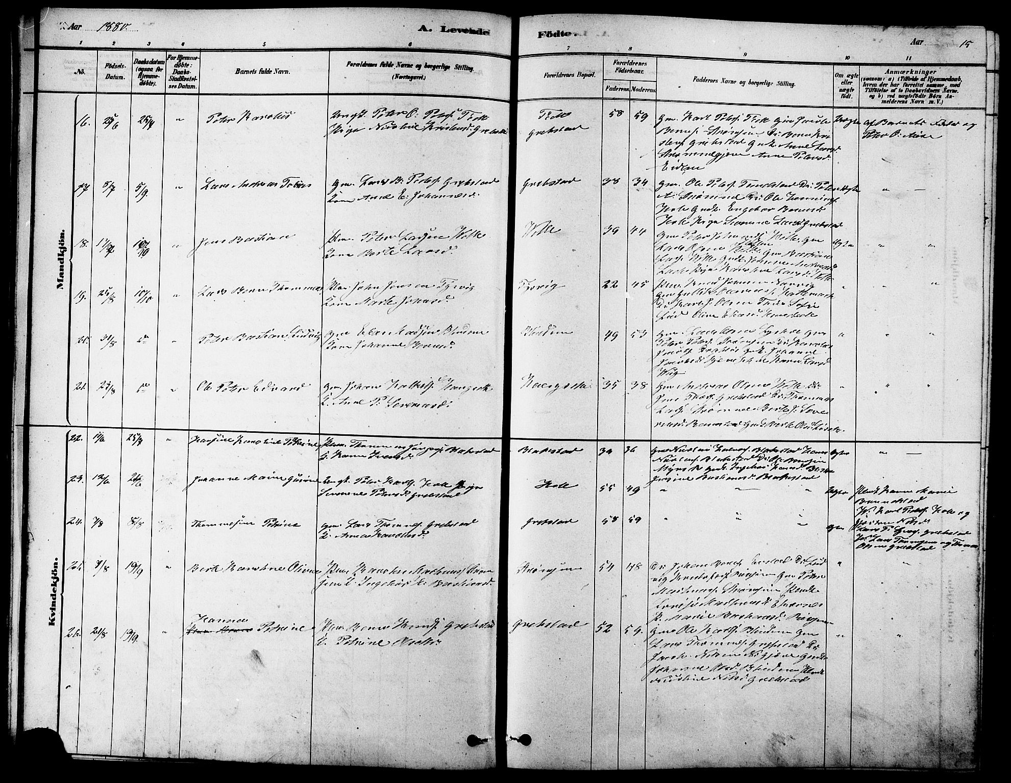 Ministerialprotokoller, klokkerbøker og fødselsregistre - Møre og Romsdal, AV/SAT-A-1454/523/L0339: Parish register (copy) no. 523C02, 1878-1891, p. 15