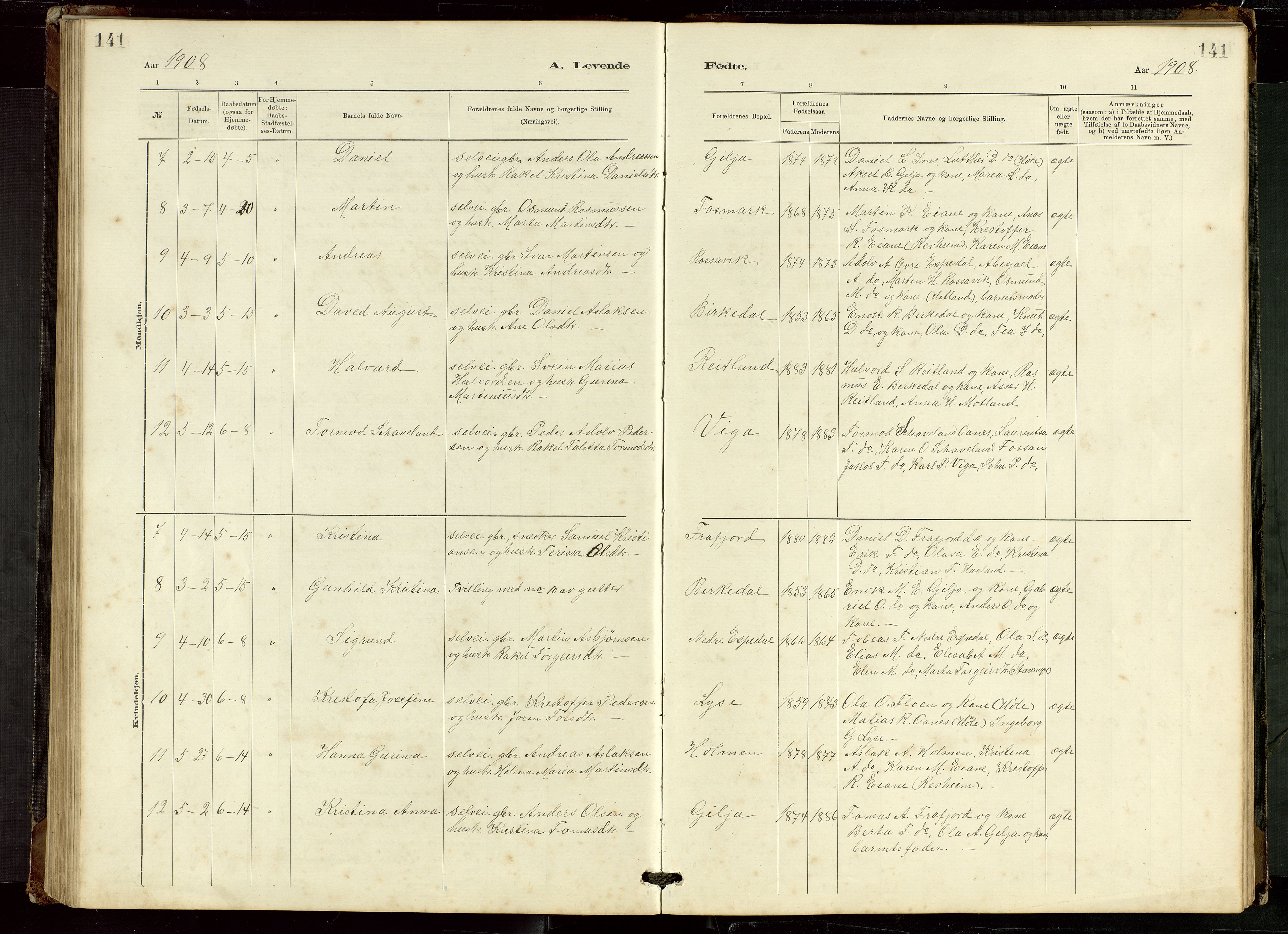 Høgsfjord sokneprestkontor, AV/SAST-A-101624/H/Ha/Hab/L0009: Parish register (copy) no. B 9, 1883-1920, p. 141